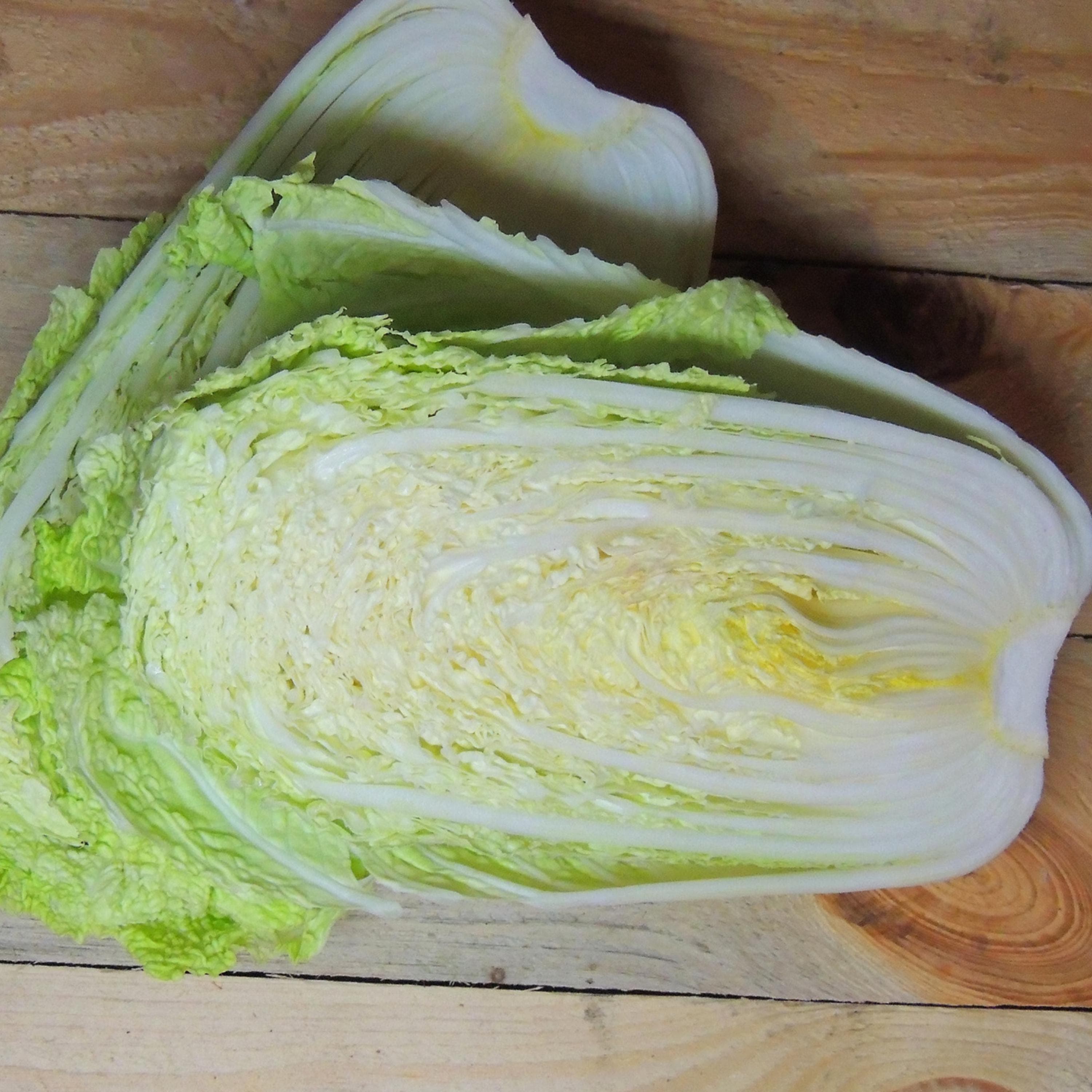 Chinese Cabbage Seeds - Organic & Non Gmo Cabbage Seeds - Heirloom Seeds - Fresh USA Grown Seeds - Grow Your Own Chinese Cabbage At Home!
