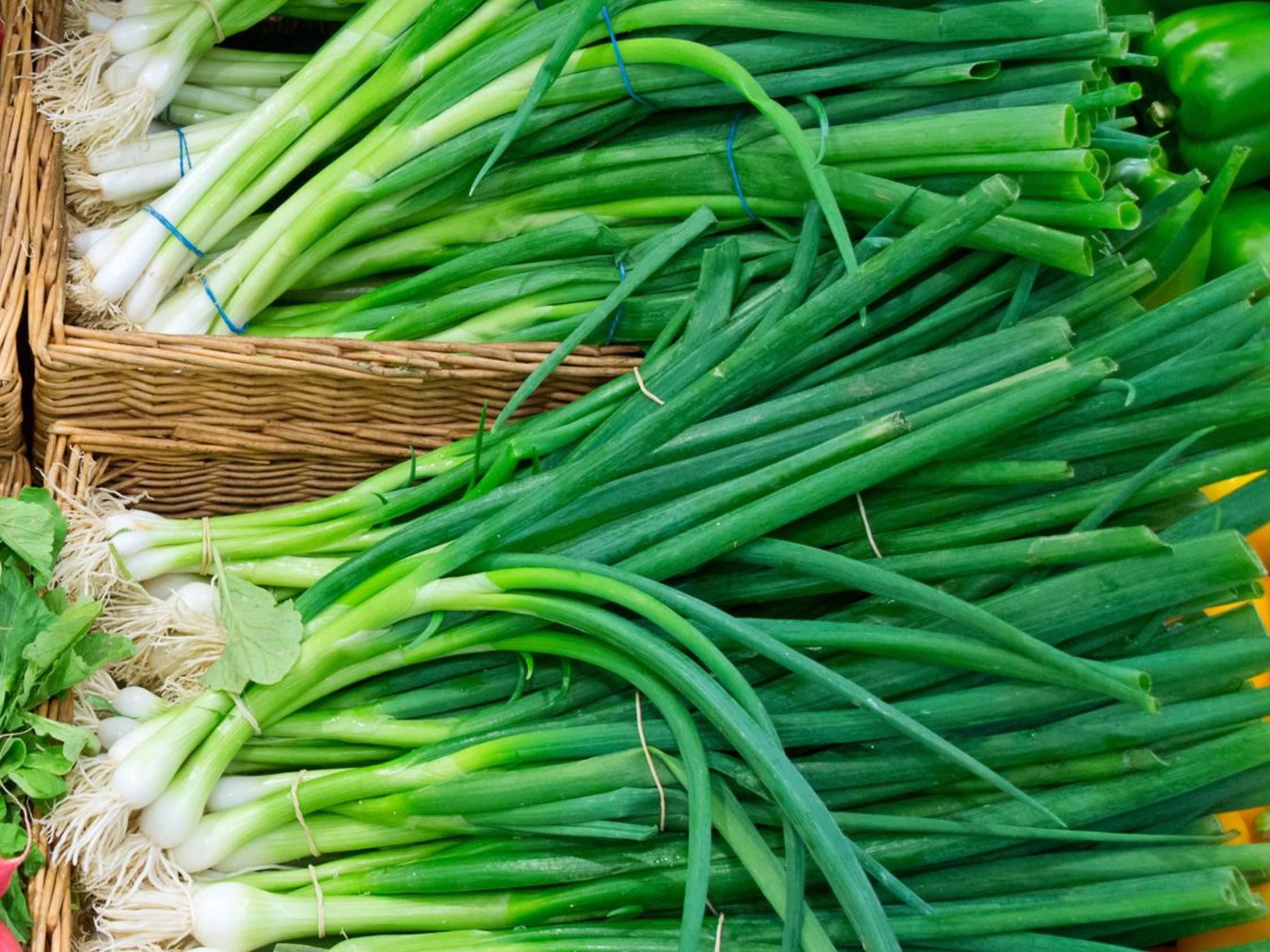Green Onion Seeds - Organic & Non Gmo - Heirloom - Grow Your Own Garden At Home