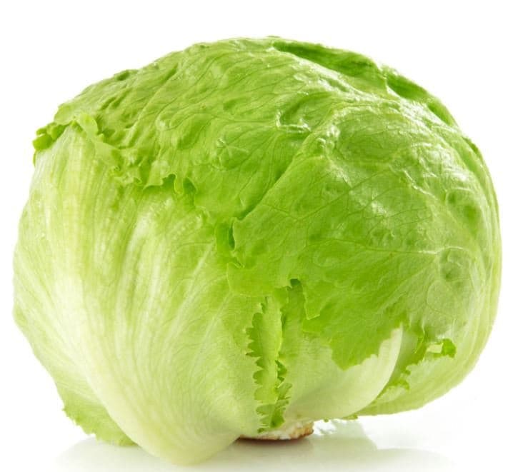 Iceberg Lettuce Seeds - Organic & Non Gmo - Heirloom Seeds - Fresh USA Grown Seeds - Grow Your Own Lettuce At Home!