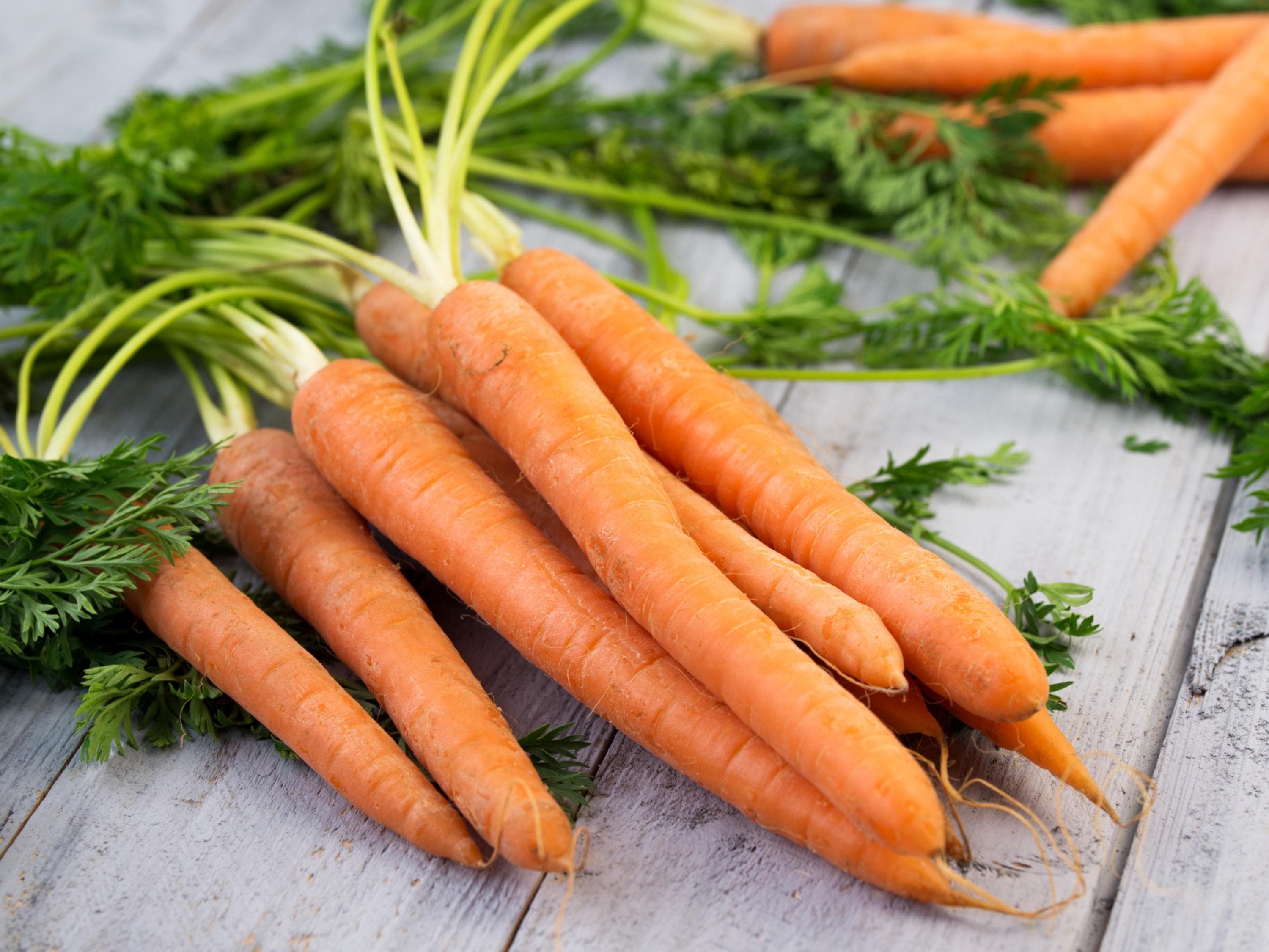 Scarlet Nantes Carrot Seeds: Organic Heirloom Vegetable Seeds