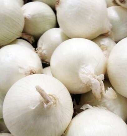 White Sweet Spanish Onion Seeds - Organic & Non Gmo Onion Seeds - Heirloom Seeds - Fresh USA Grown Seeds - Grow Your Own Food At Home! - image 3