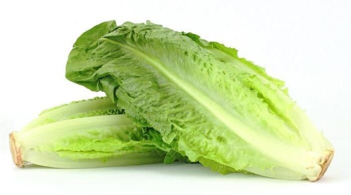 Romaine Lettuce Seeds - Organic & Non Gmo Lettuce Seeds - Heirloom Lettuce Seeds – Vegetable Seeds - USA Garden Seeds - Grow Lettuce At Home - image 3