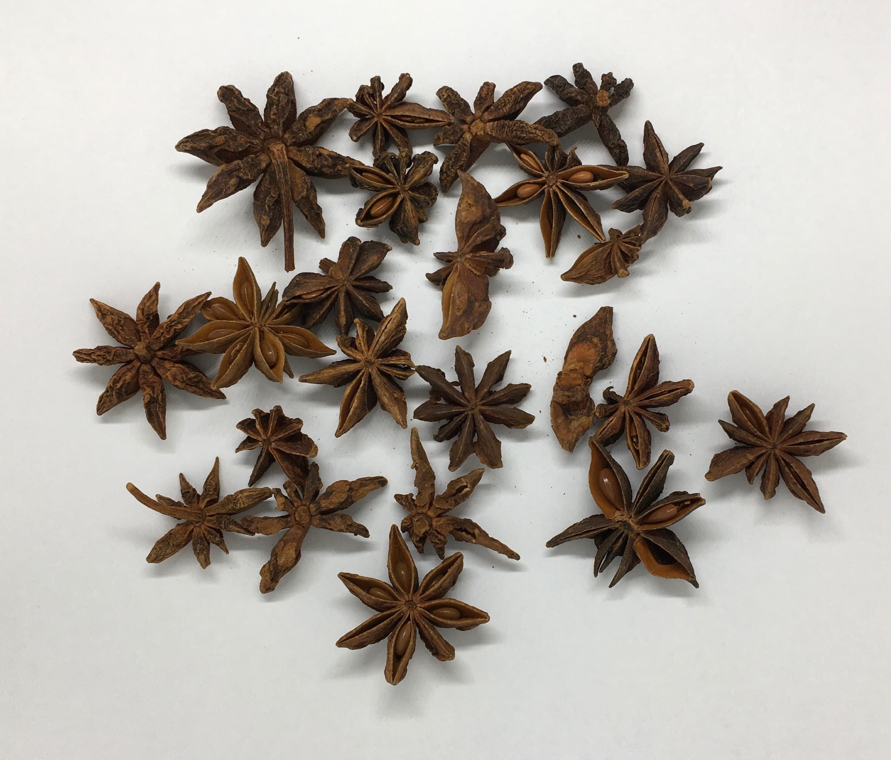 Organic Star Anise, Whole Dried Star Aniseed, Herbal Tea, Aromatherapy, Cooking - image 4