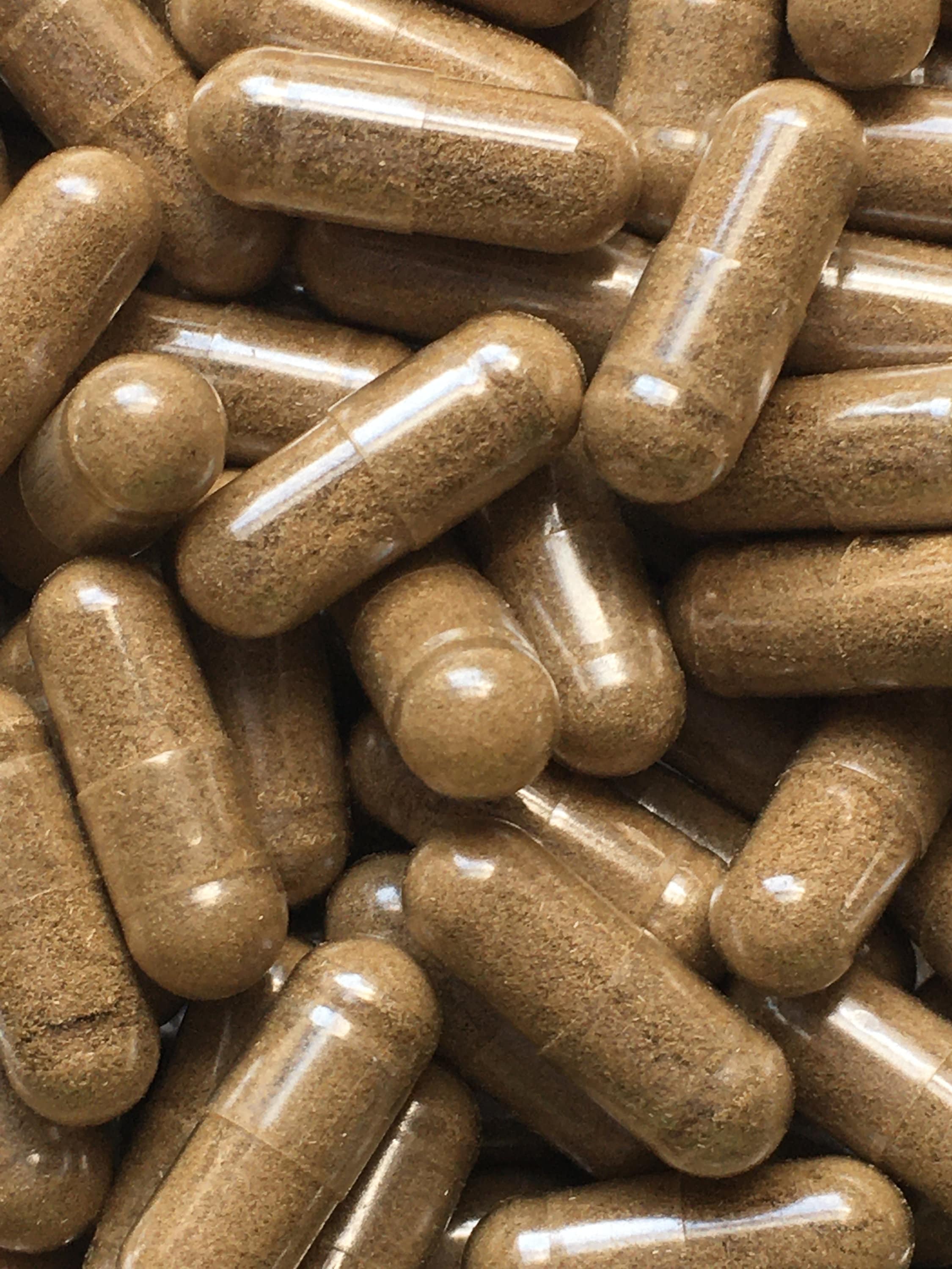 Bitter Melon Vegan Capsule, 100% Pure Momordica Charantia Powder, Retail & Wholesale - image 3
