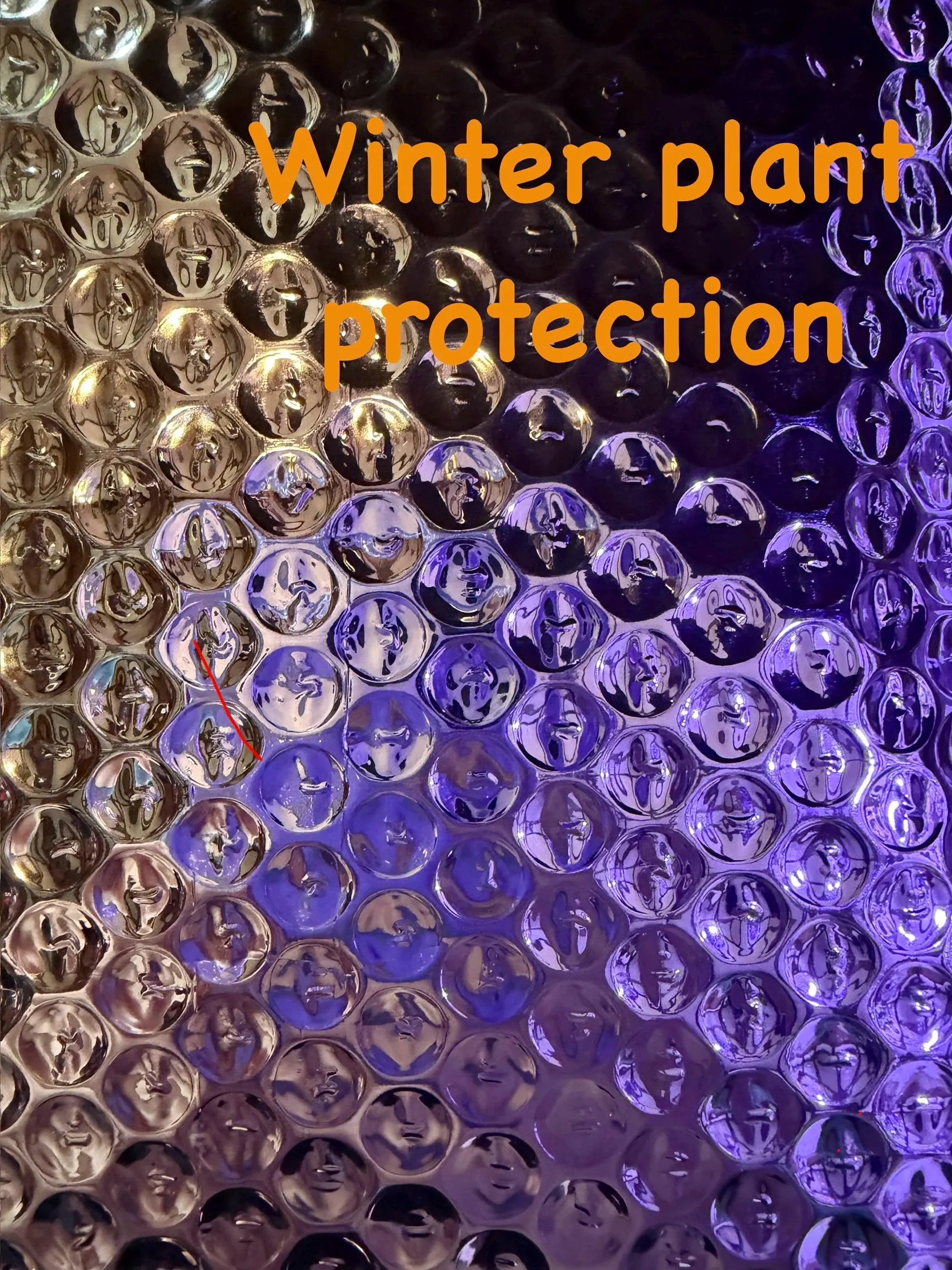 Winter Plant Protection Package - ADD-ON ONLY