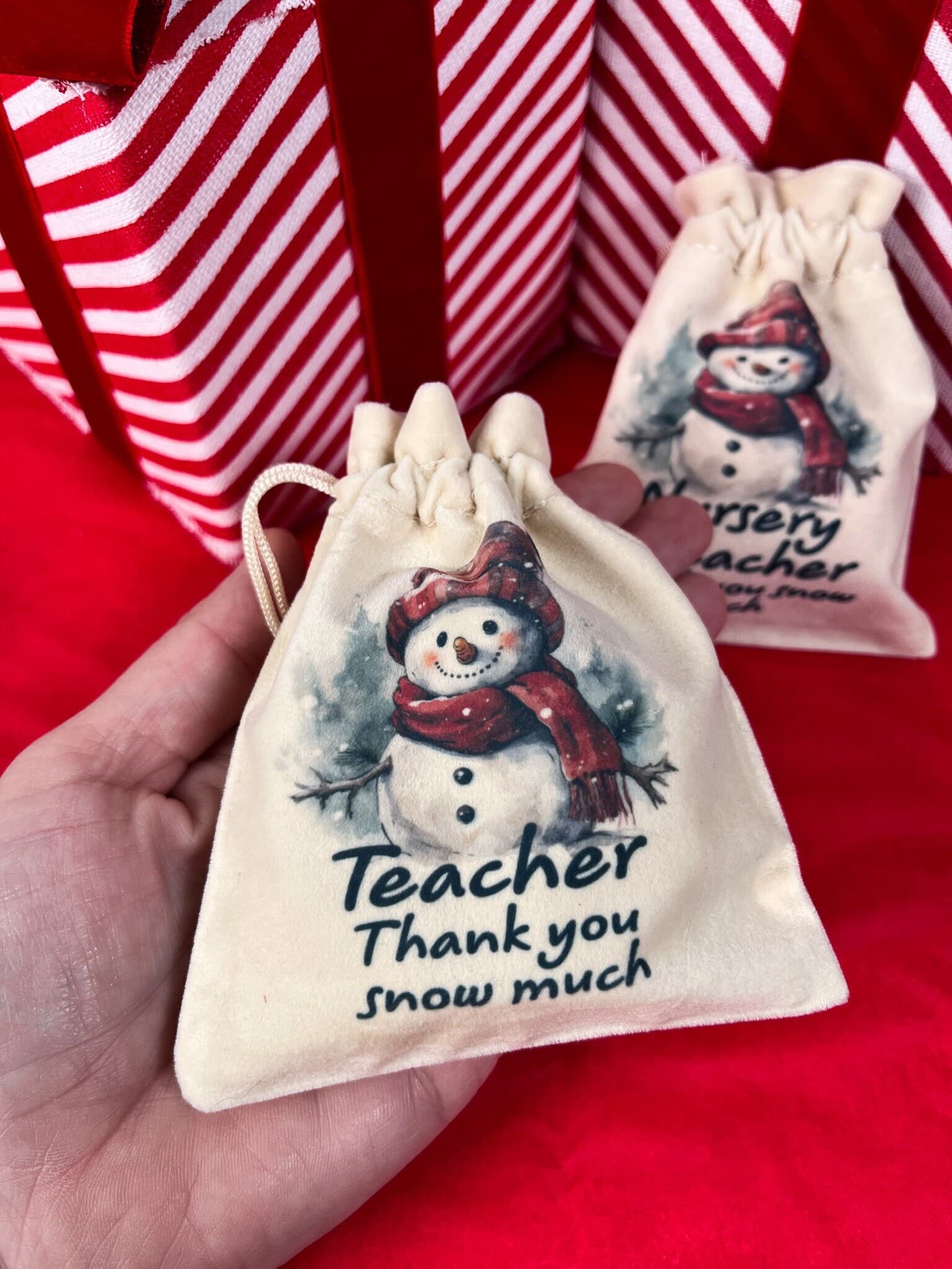 Teacher Christmas Gift Set, Velvet Gift Bag