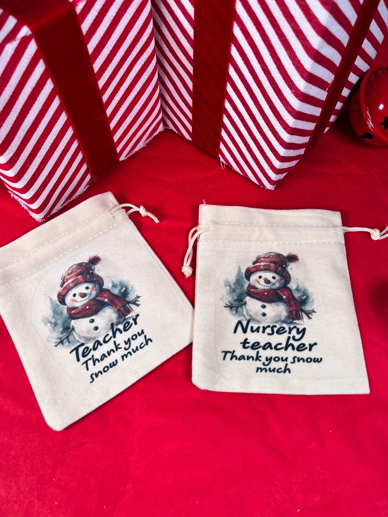 Teacher Christmas Gift, Velvet Pouch with Choice of Gifts - image 4