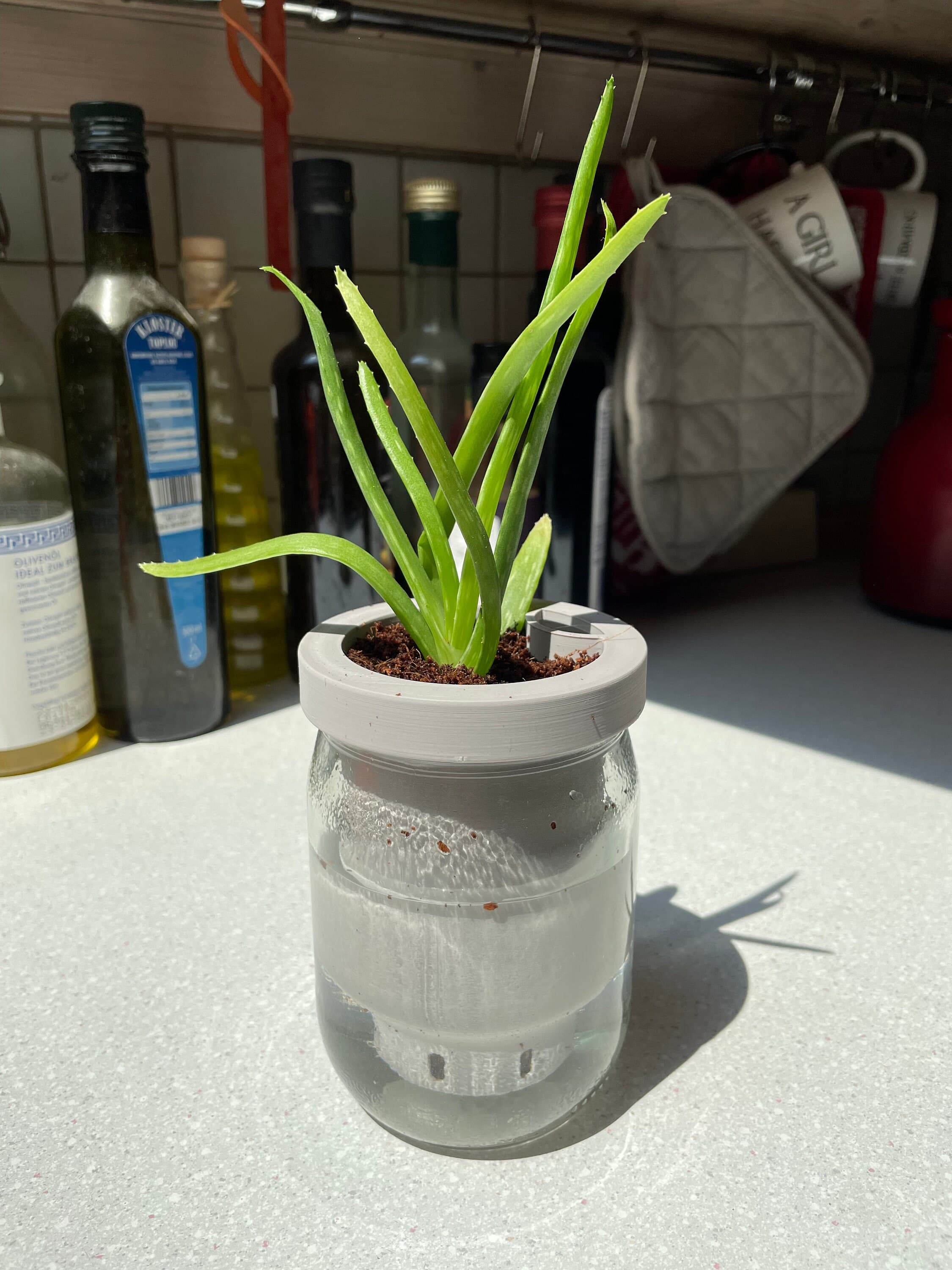 Self Watering Planter, 3D Printed Indoor Plant Pot, Modern Desk Planter, Housewarming, and Gardening Gift for Plant Lovers - image 5