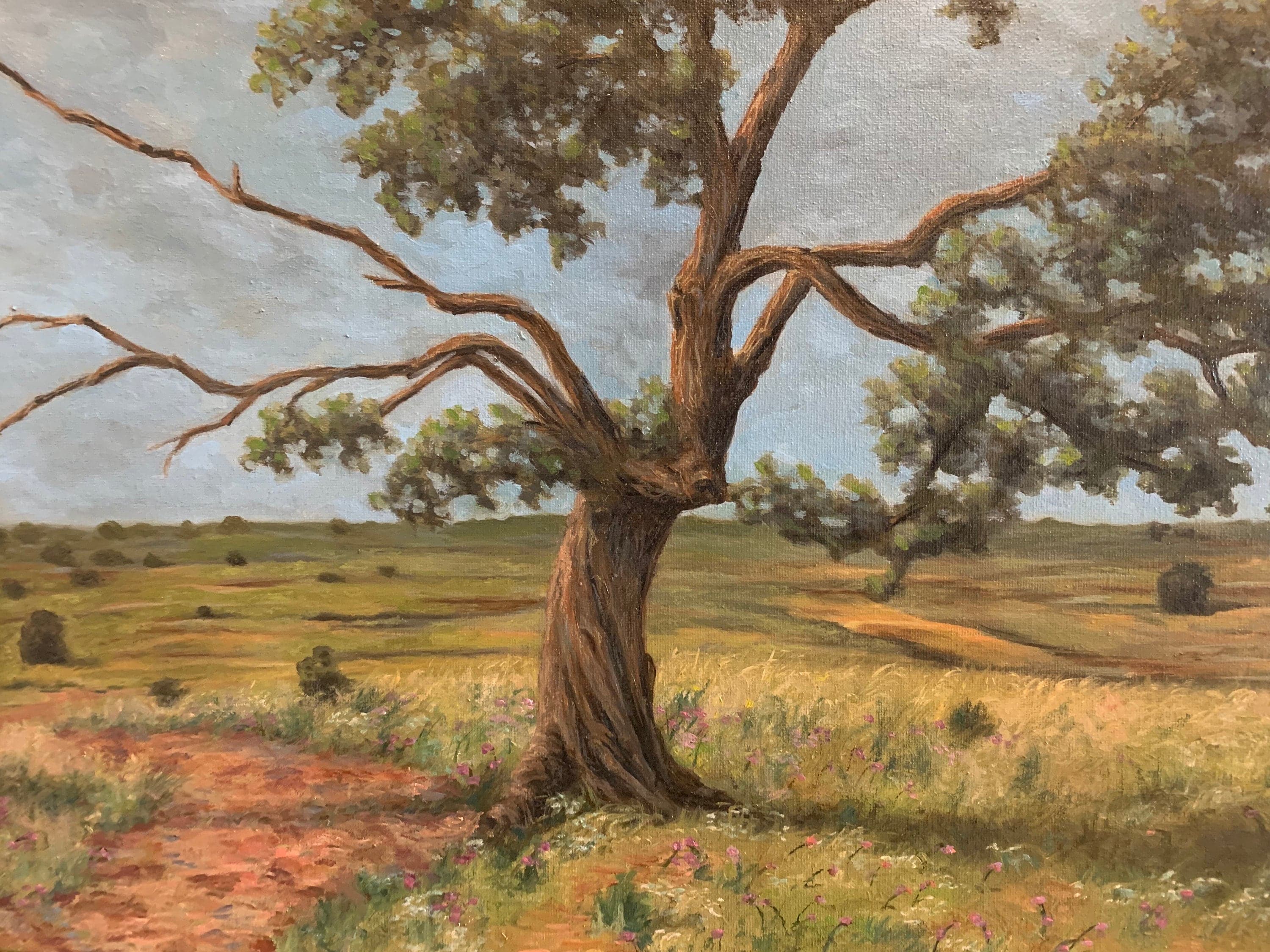 Twisted Old Tree, Original Oil Painting, Texas Landscape Art, USA, Rhome - image 3
