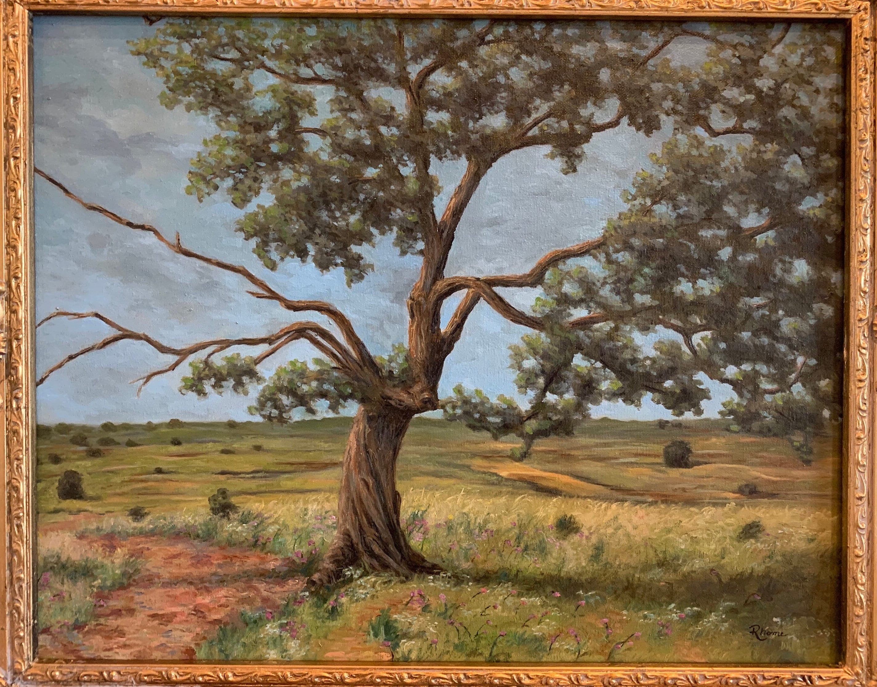 Twisted Old Tree, Original Oil Painting, Texas Landscape Art, USA, Rhome