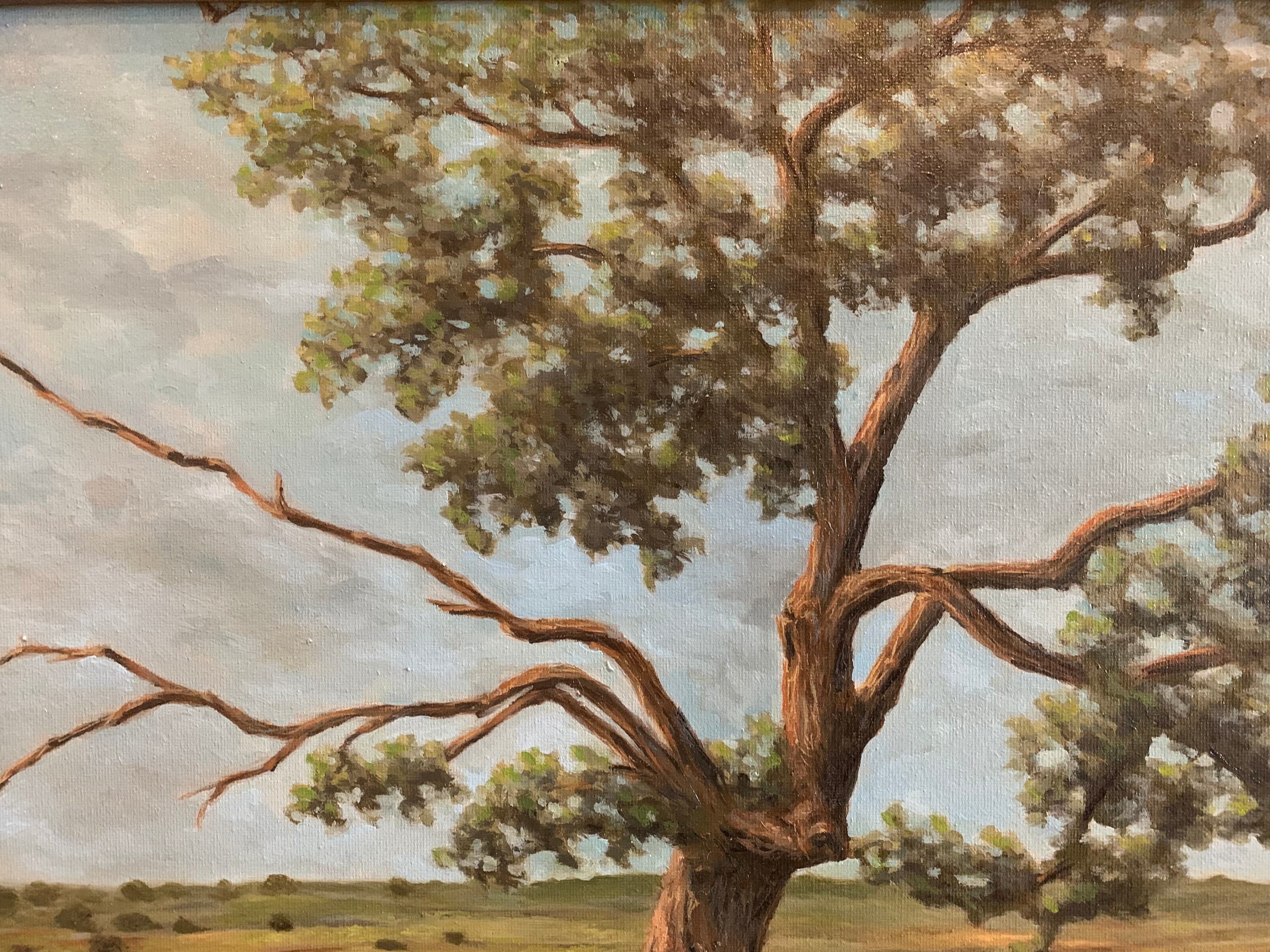 Twisted Old Tree, Original Oil Painting, Texas Landscape Art, USA, Rhome - image 2