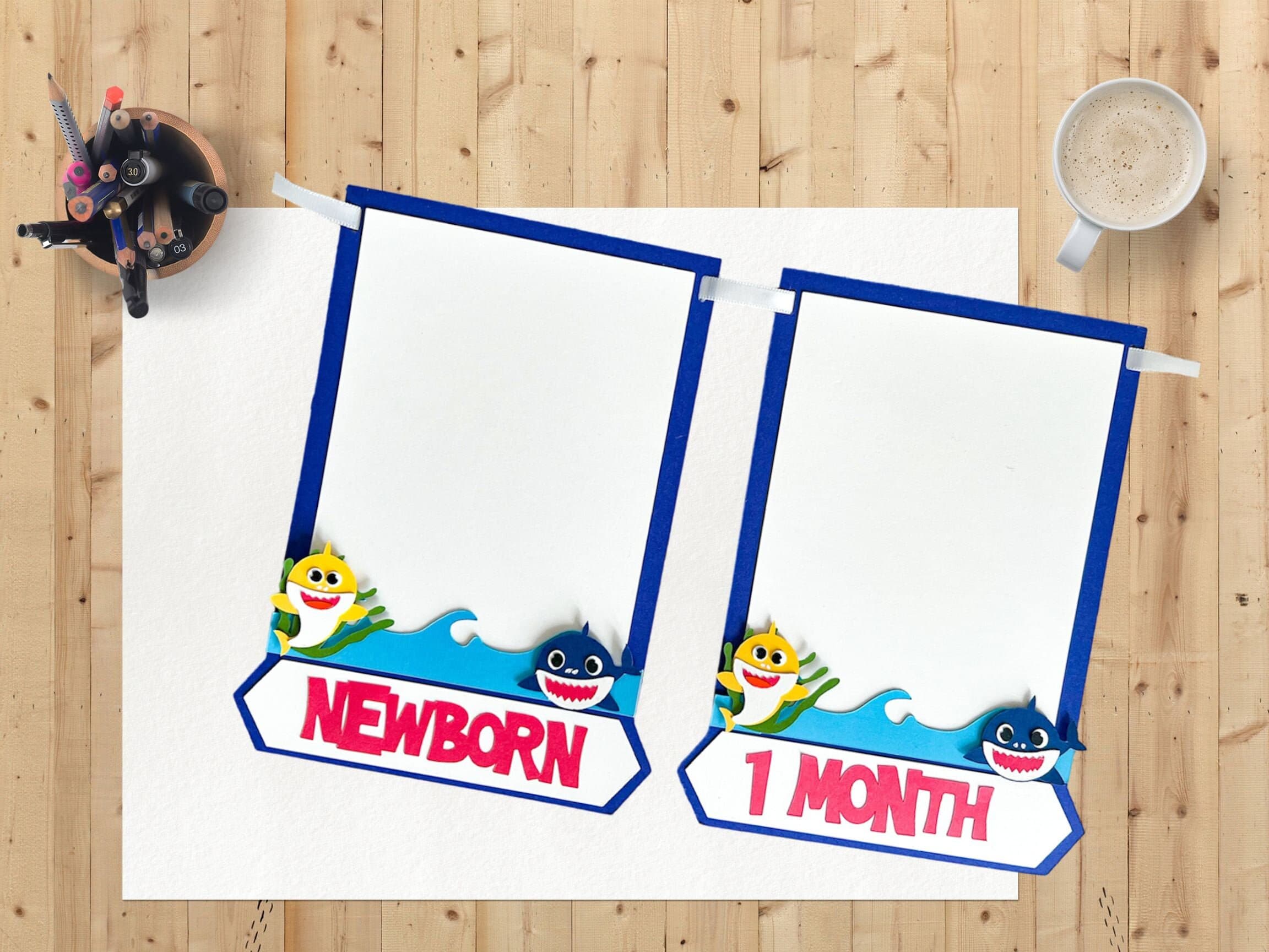 12 Months Milestone Banner for Baby Shark Themed Party, Monthly Photo Garland For Newborn Photography or Nursery, Baby Shark Two Two Two