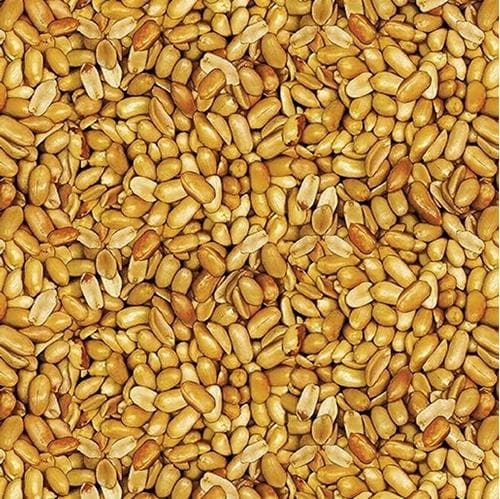 Nuts Cotton Fabric by the Yard - Ale House Beer Nuts Natural - Benartex 12747 70