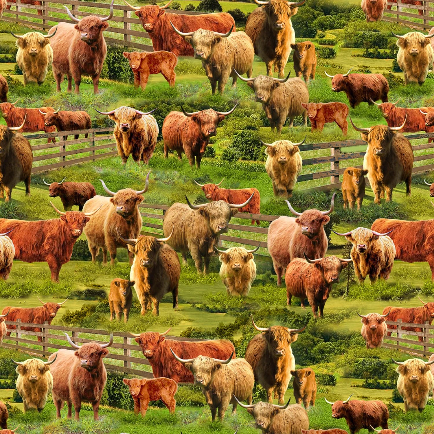 Cow Cotton Fabric by the Yard - Rolling Hills Highland Cows Multi - Timeless Treasures CD3076-MULTI