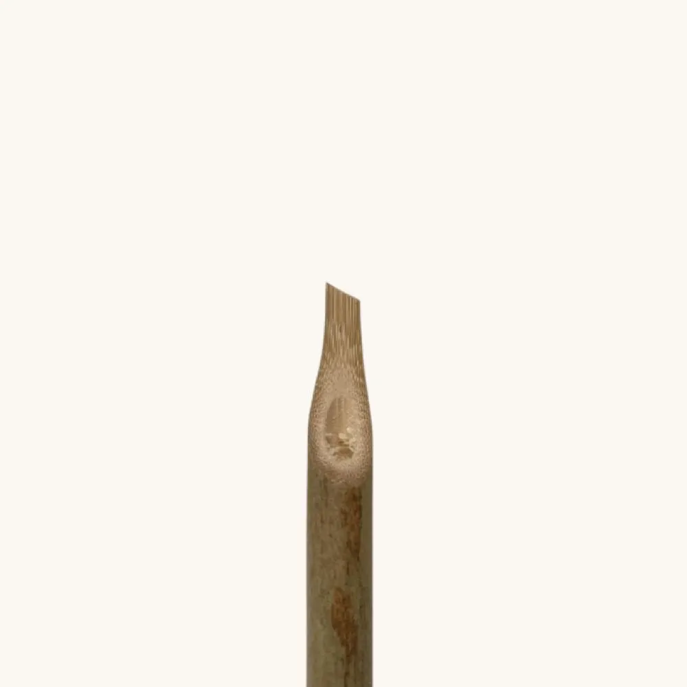 Bamboo Reed Arabic Calligraphy Qalam/Pen (Set of 5 Piece) - image 4