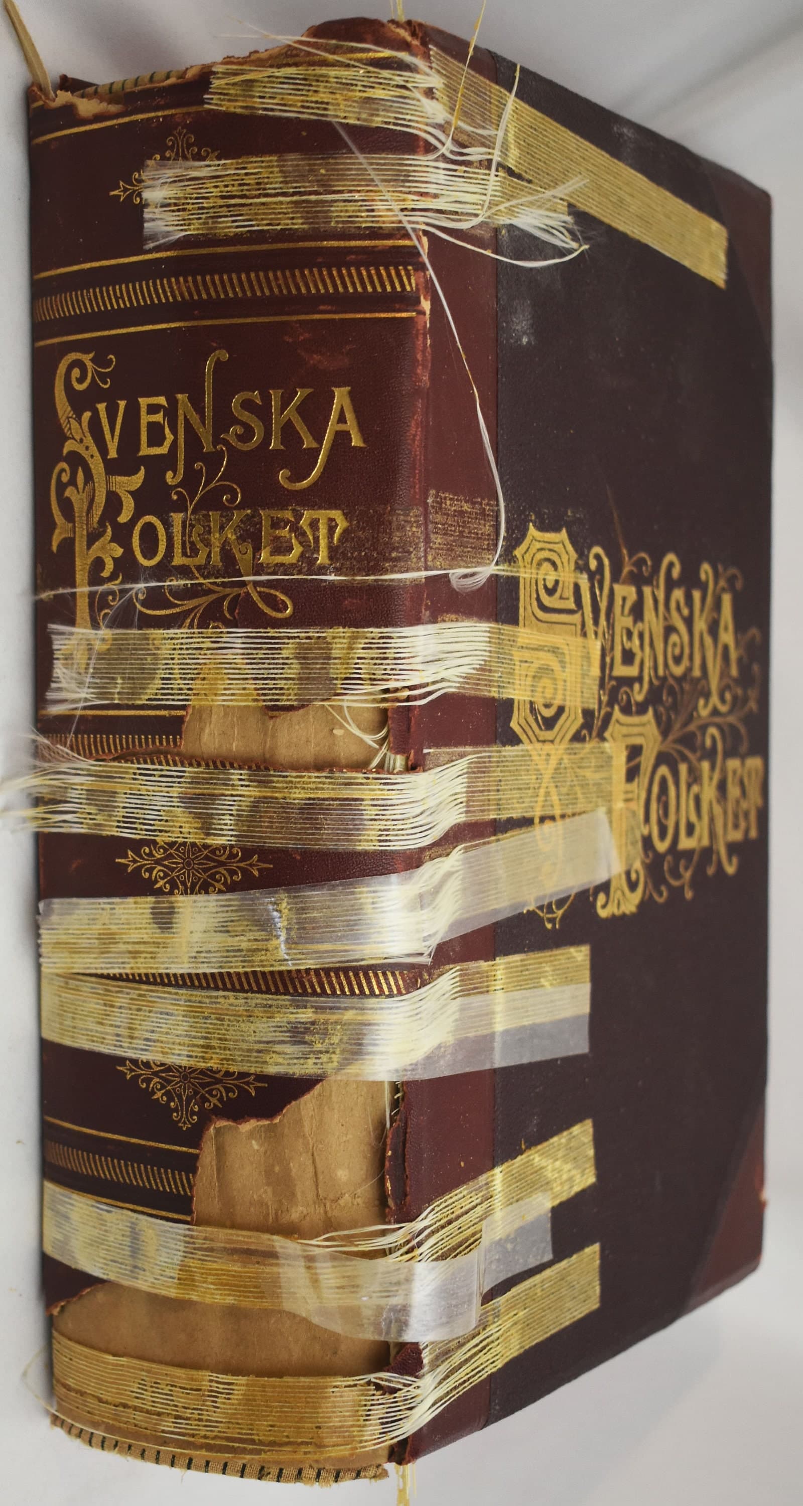 Svenska Folkset by August Strindberg published by Swedish Book Company, Chicago 1910 - image 3