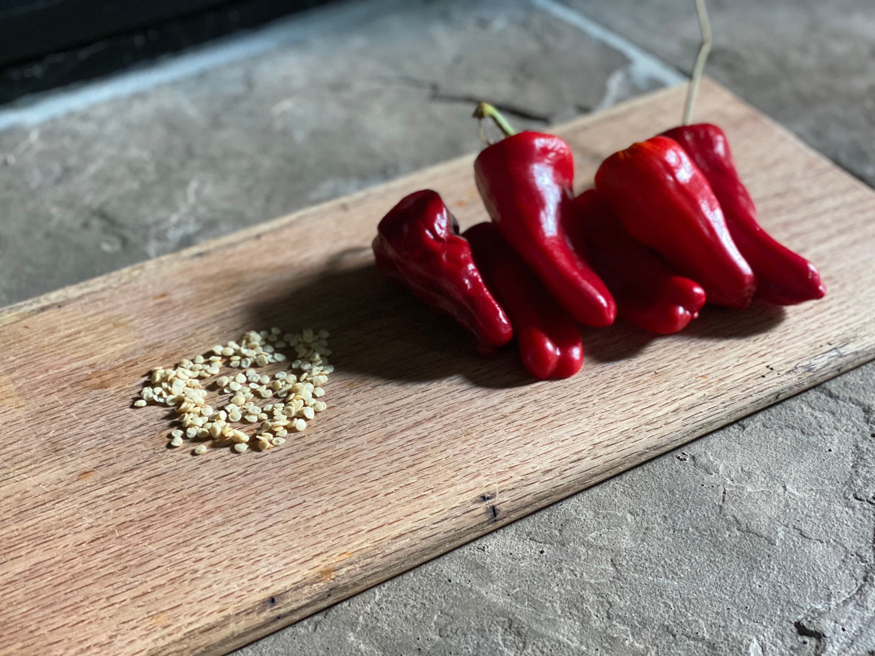 Marconi Pepper Seeds Harvested November Organically Grown in Florida - image 3