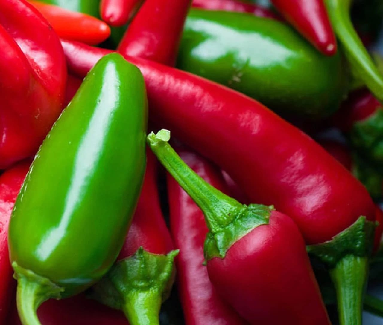 25+ Heirloom Early Jalapeno Pepper Heirloom Seeds Organically Grown