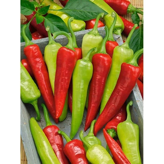 20+ Heirloom Sweet Banana Pepper Seeds non-gmo Fast Shipping