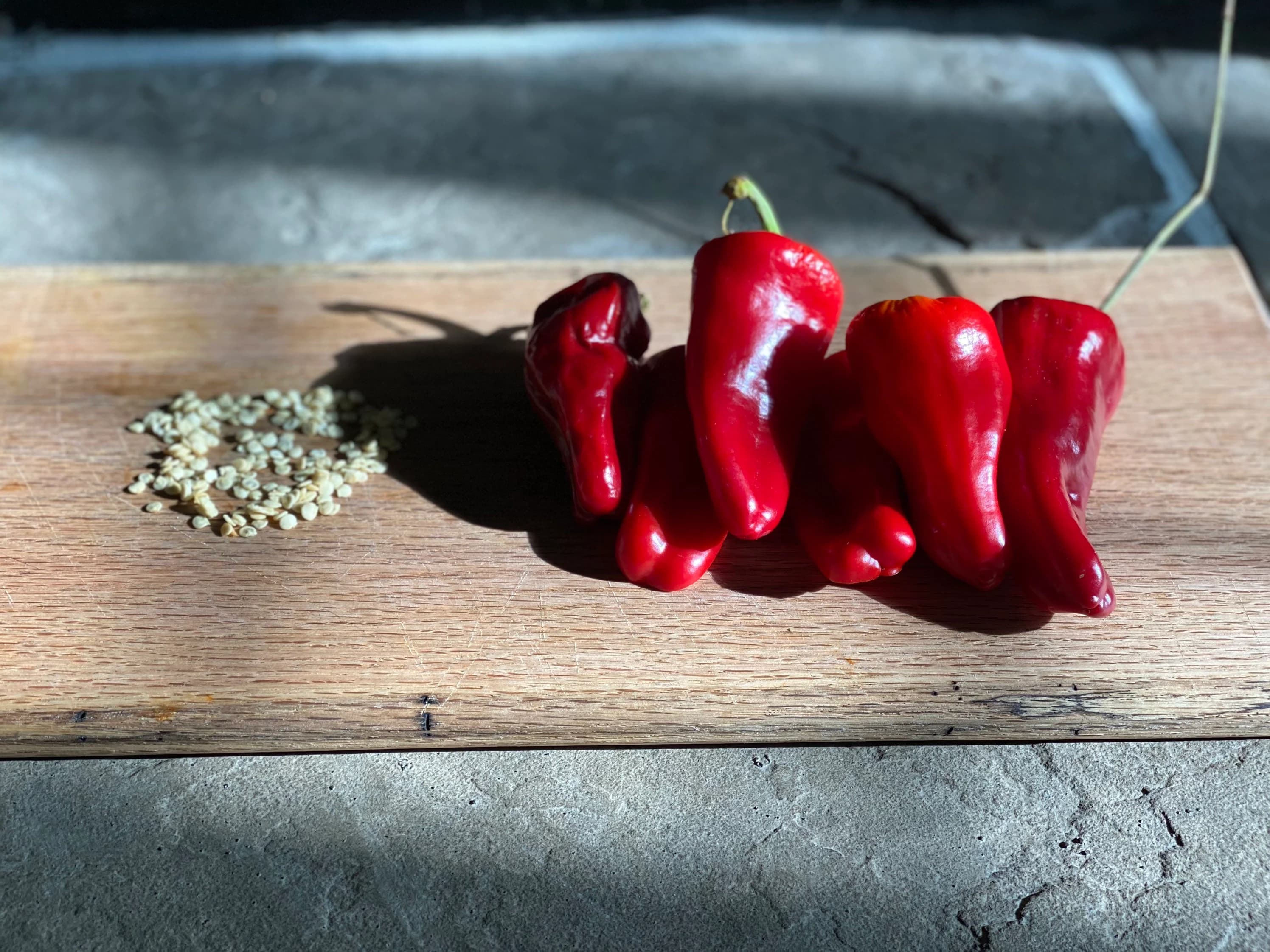 Marconi Pepper Seeds Harvested November Organically Grown in Florida - image 2