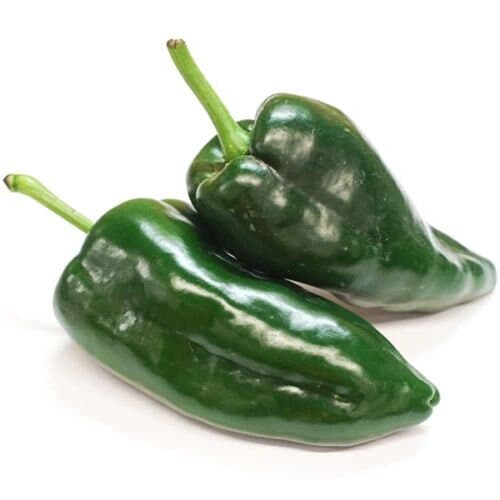 Heirloom Poblano Ancho Pepper Seeds Organically Grown in Florida - image 2