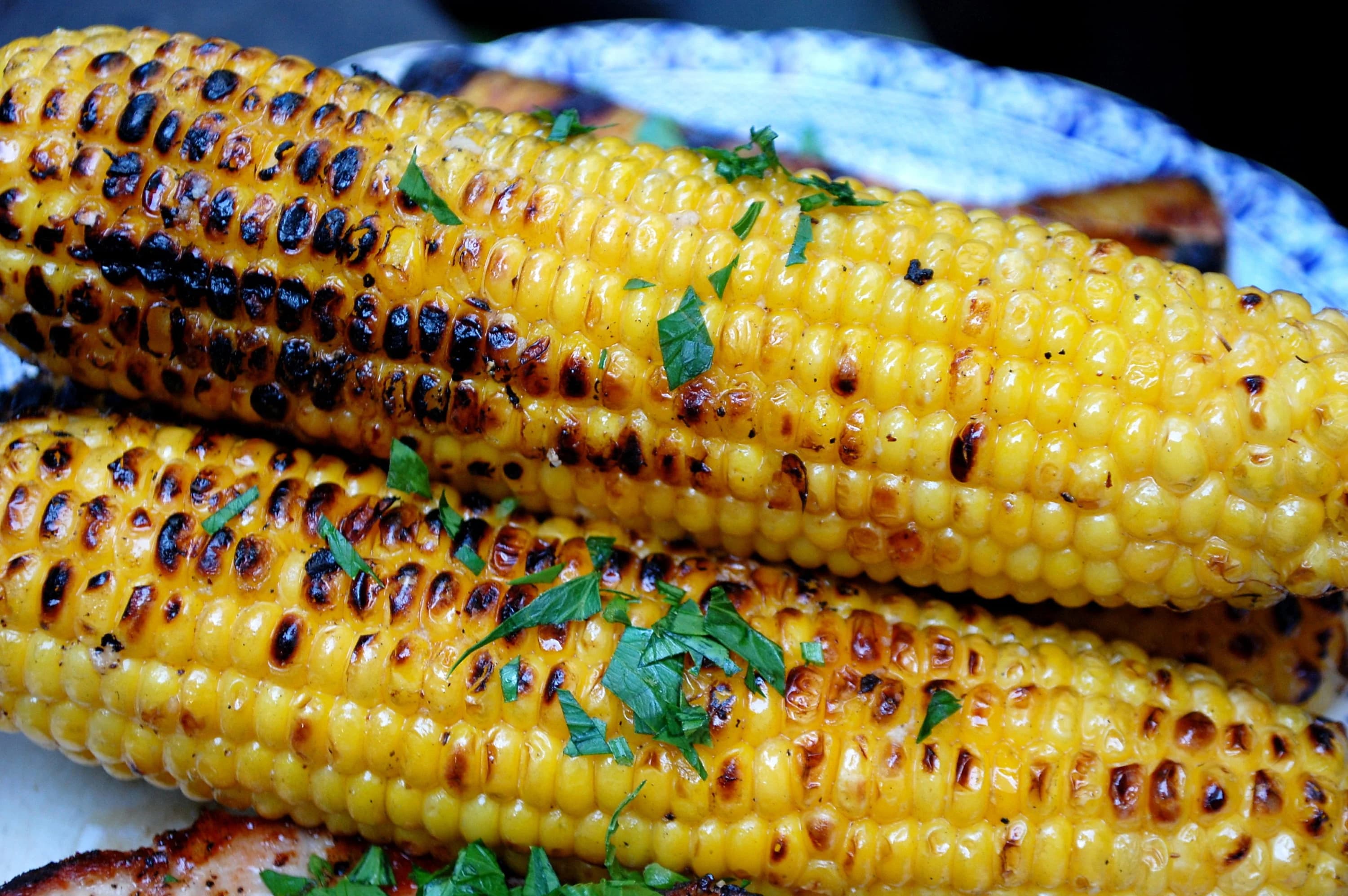 Bodacious Sweet Corn Seeds from Florida