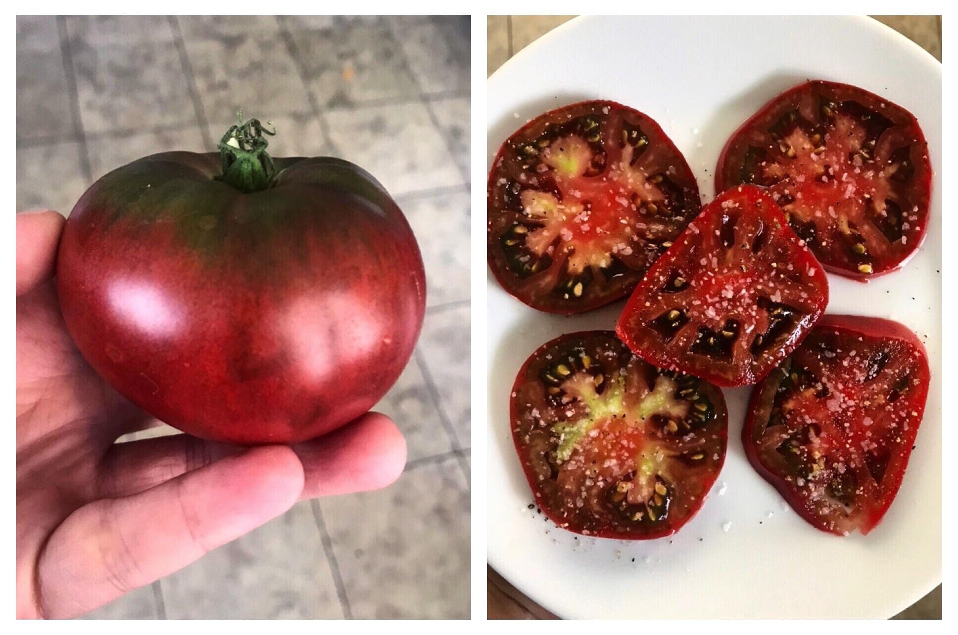 Black Krim Heirloom Tomato Seeds from Florida SHIPPED FAST! - image 2