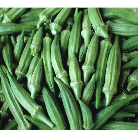 Clemson Spineless Okra Seeds from Florida Shipped Free and FAST