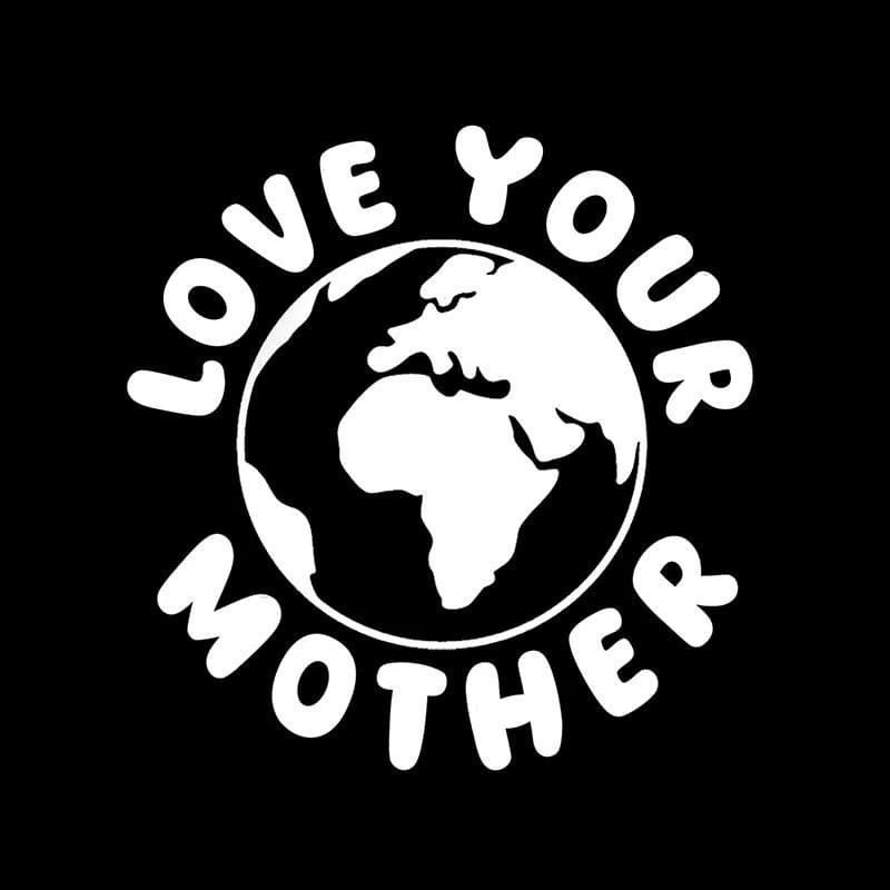 Love Your Mother Earth Vinyl Decal - Environmental Car Sticker - image 3
