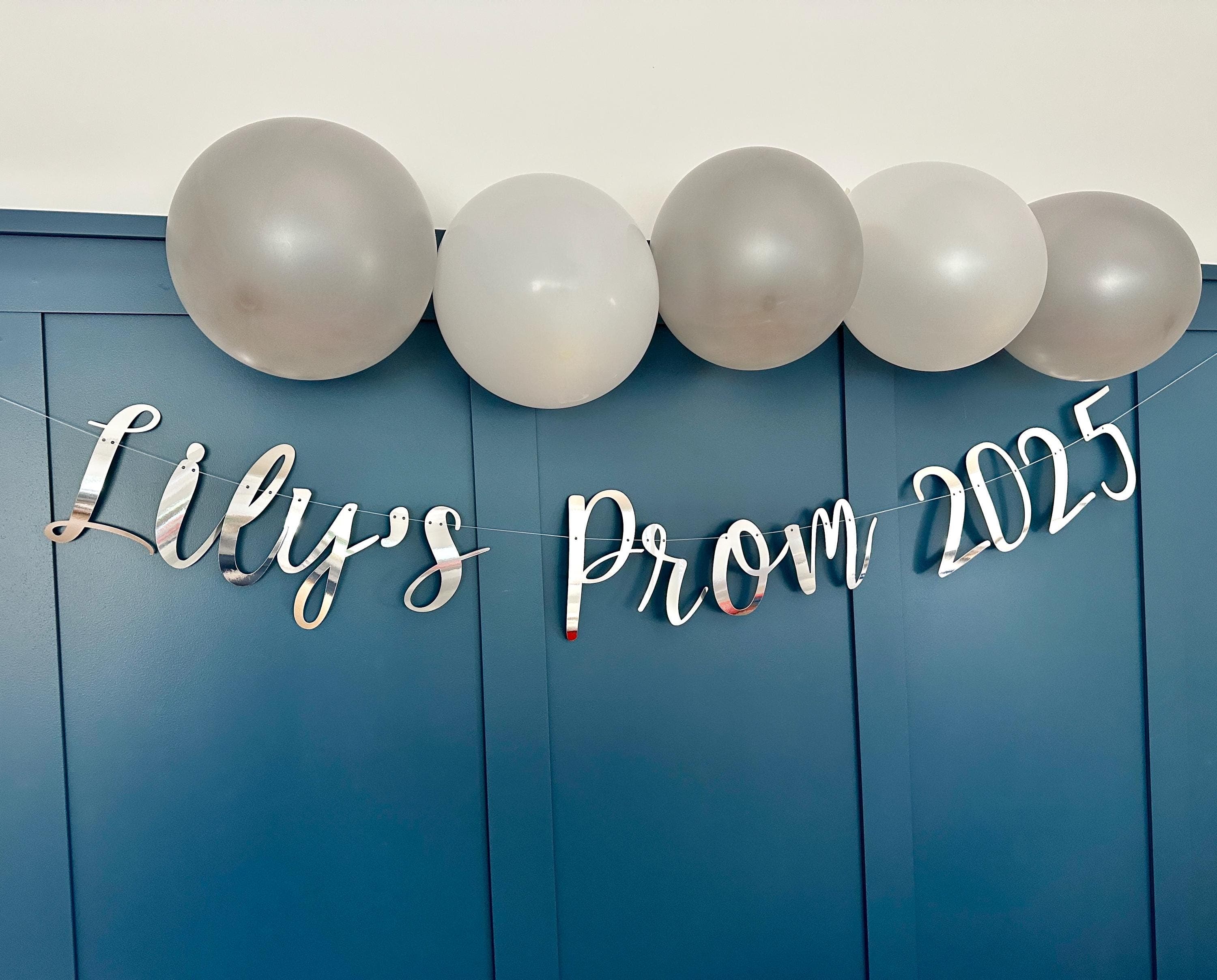 Class of 2026 Banner, Prom 2026 Banner, Prom Party Decor, Prom Backdrop, Prom Sign, Class of 2026 Backdrop, Prom Night Sign Bunting - image 5