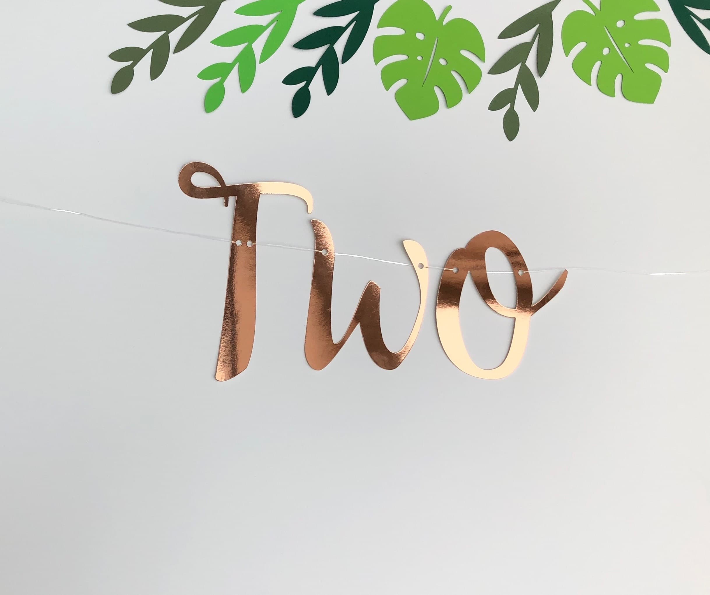 Two Wild Rose Gold Banner, Personalised (any colour), 2nd Birthday Banner, Second Birthday Bunting, Turning Two Garland, Rose Gold - image 5