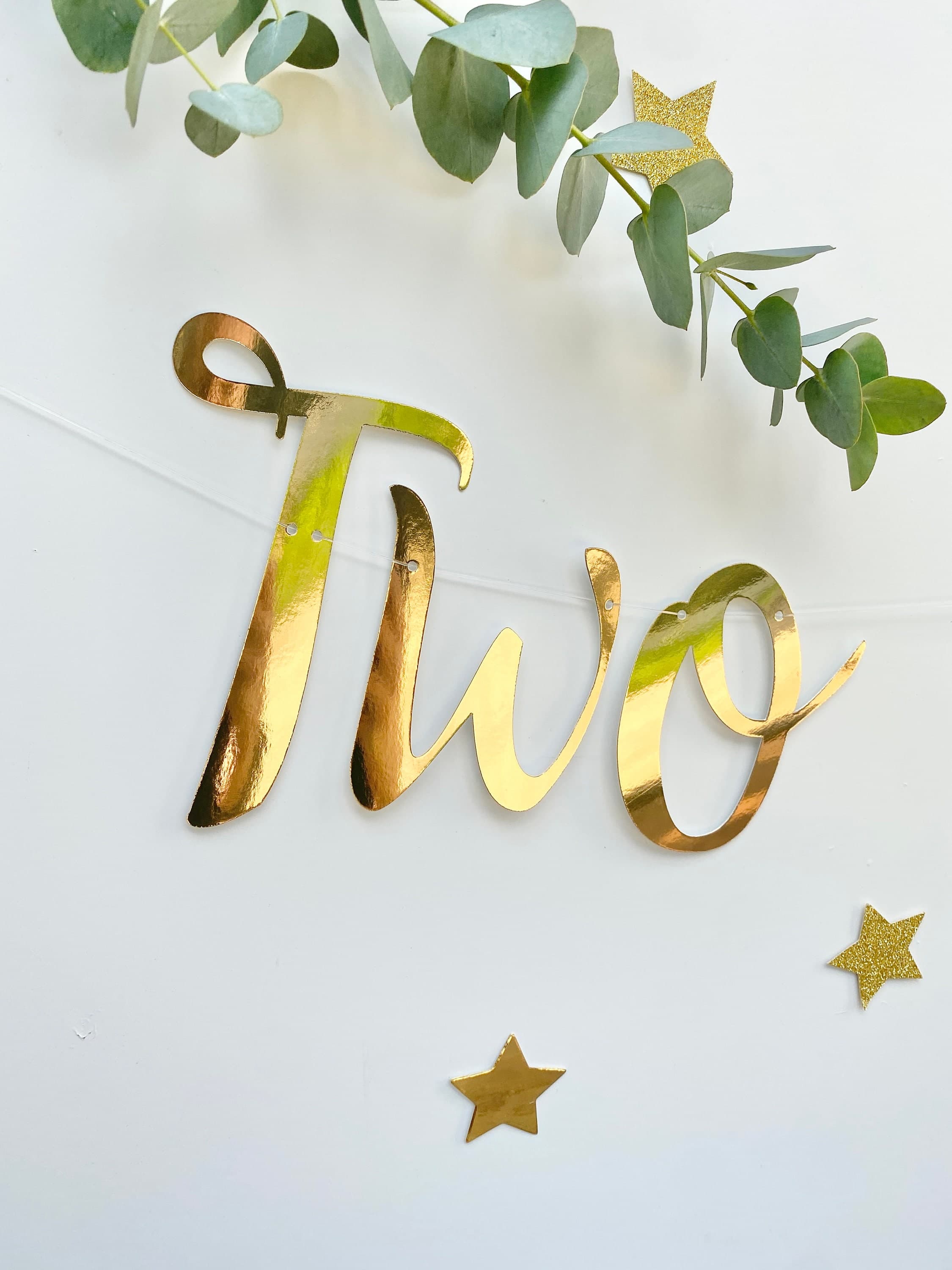 Two Wild Rose Gold Banner, Personalised (any colour), 2nd Birthday Banner, Second Birthday Bunting, Turning Two Garland, Rose Gold - image 4