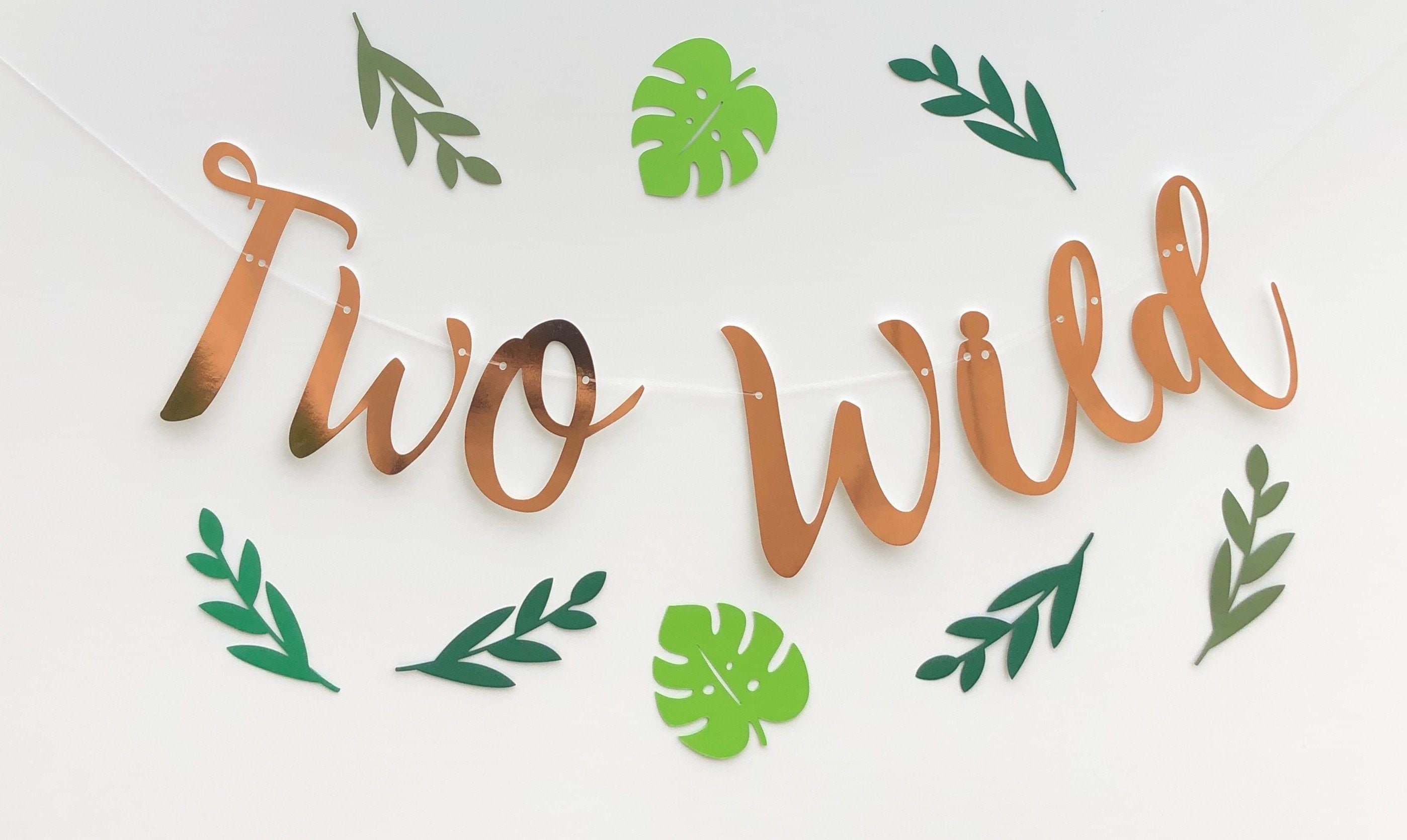 Two Wild Rose Gold Banner, Personalised (any colour), 2nd Birthday Banner, Second Birthday Bunting, Turning Two Garland, Rose Gold