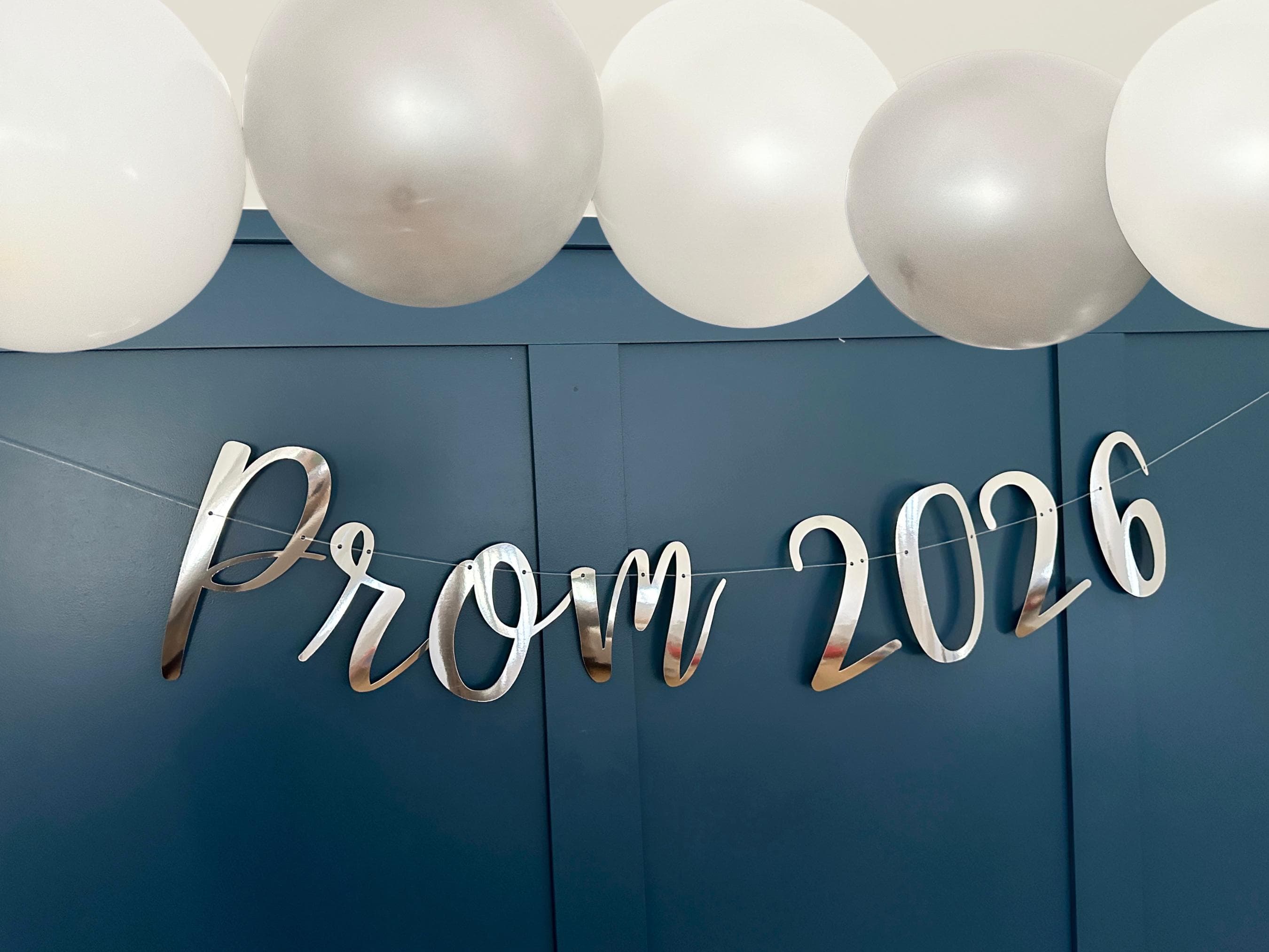 Class of 2026 Banner, Prom 2026 Banner, Prom Party Decor, Prom Backdrop, Prom Sign, Class of 2026 Backdrop, Prom Night Sign Bunting - image 3