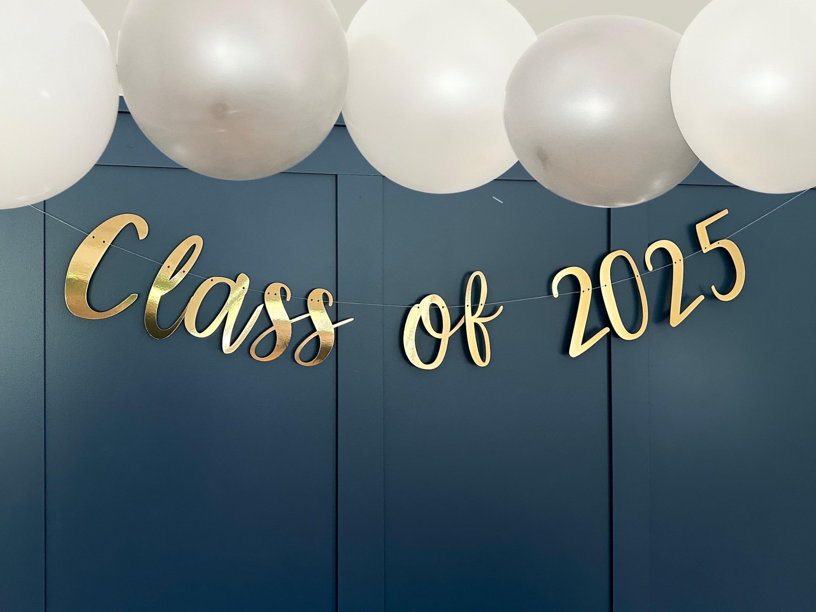 Class of 2026 Banner, Prom 2026 Banner, Prom Party Decor, Prom Backdrop, Prom Sign, Class of 2026 Backdrop, Prom Night Sign Bunting