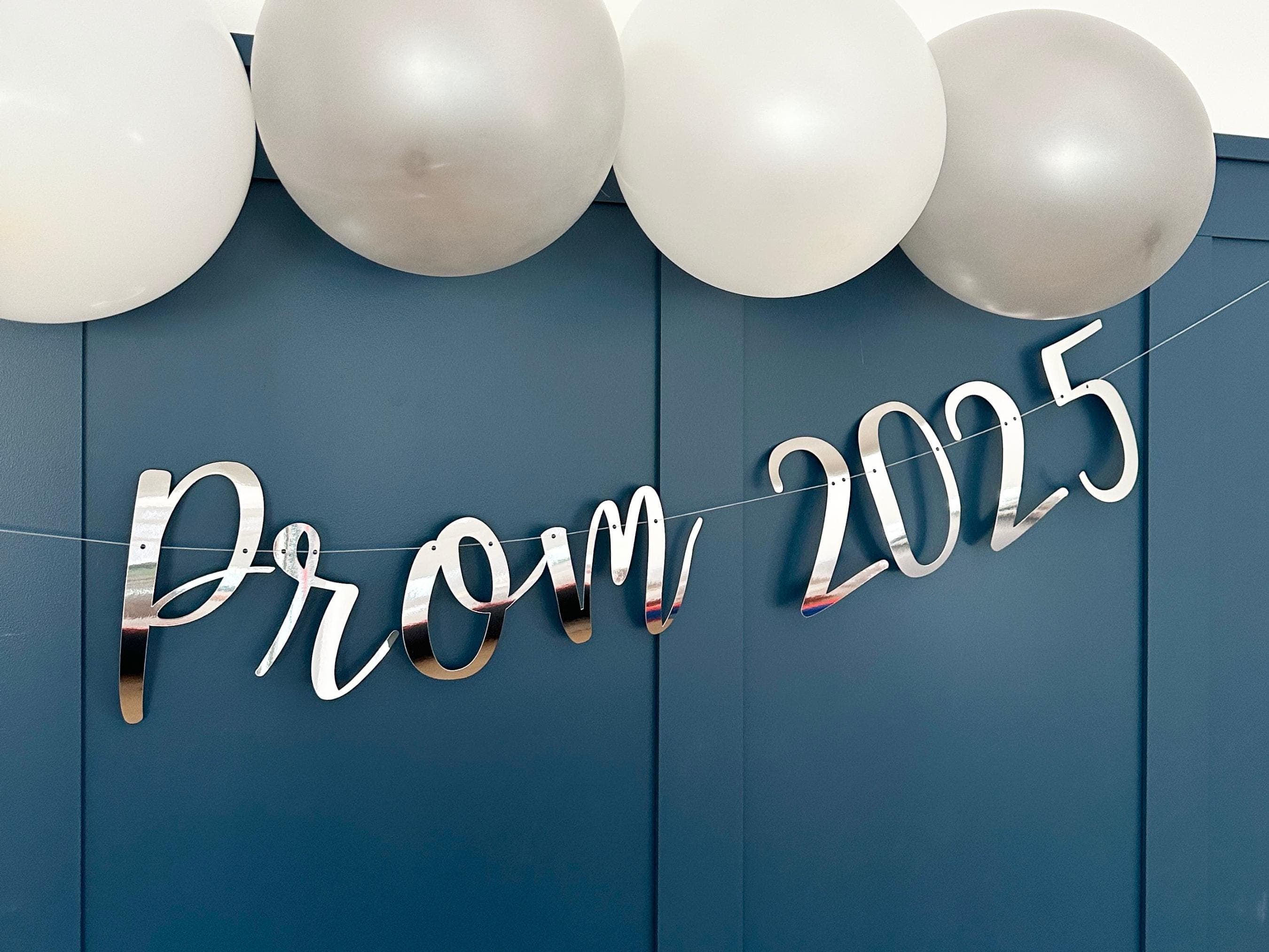 Class of 2026 Banner, Prom 2026 Banner, Prom Party Decor, Prom Backdrop, Prom Sign, Class of 2026 Backdrop, Prom Night Sign Bunting - image 4
