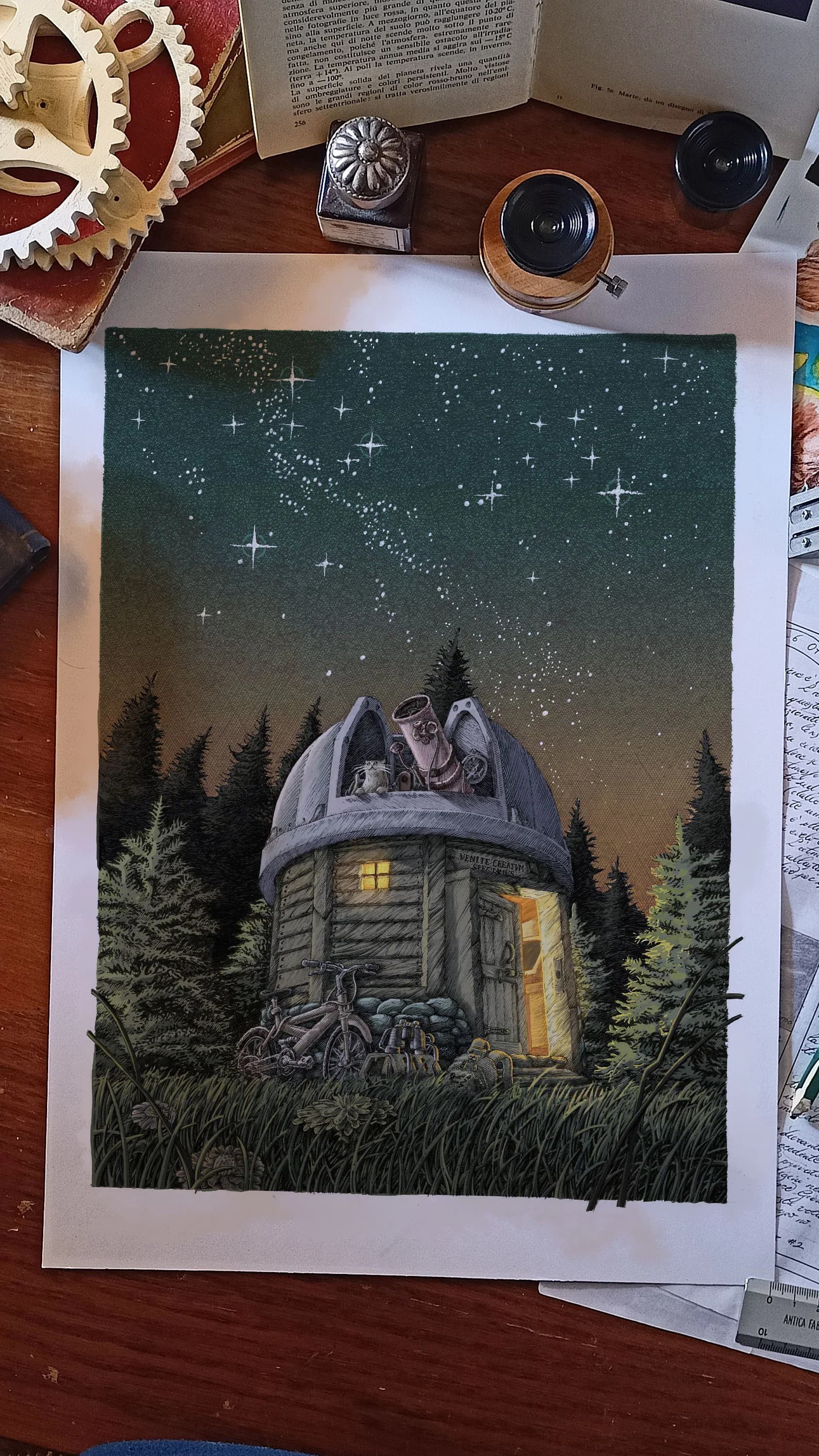 The cat in the observatory - Author print, Astronomy, Poster, A4, A3, Art Print, Crosshatch, Present idea. - image 4