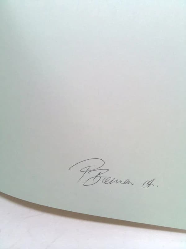 Facing the Dawn: Awakening the Sleeping Soul by Patricia Brennan - image 3