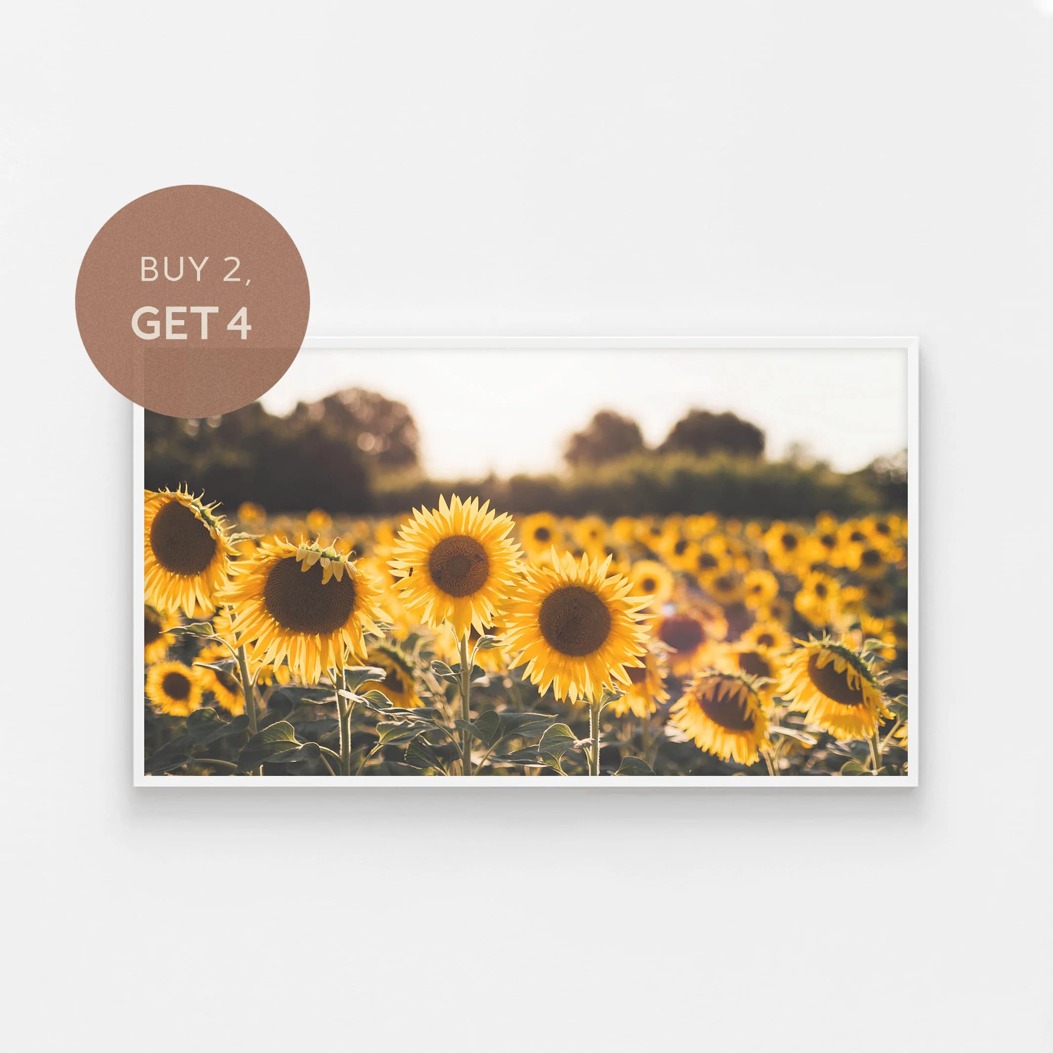 Samsung Frame TV Art, Sunflower Art Print, Art for TV, Frame Art TV, Botanical Art Tv, Art Frame, Digital Art for Tv, Sunflower Photography