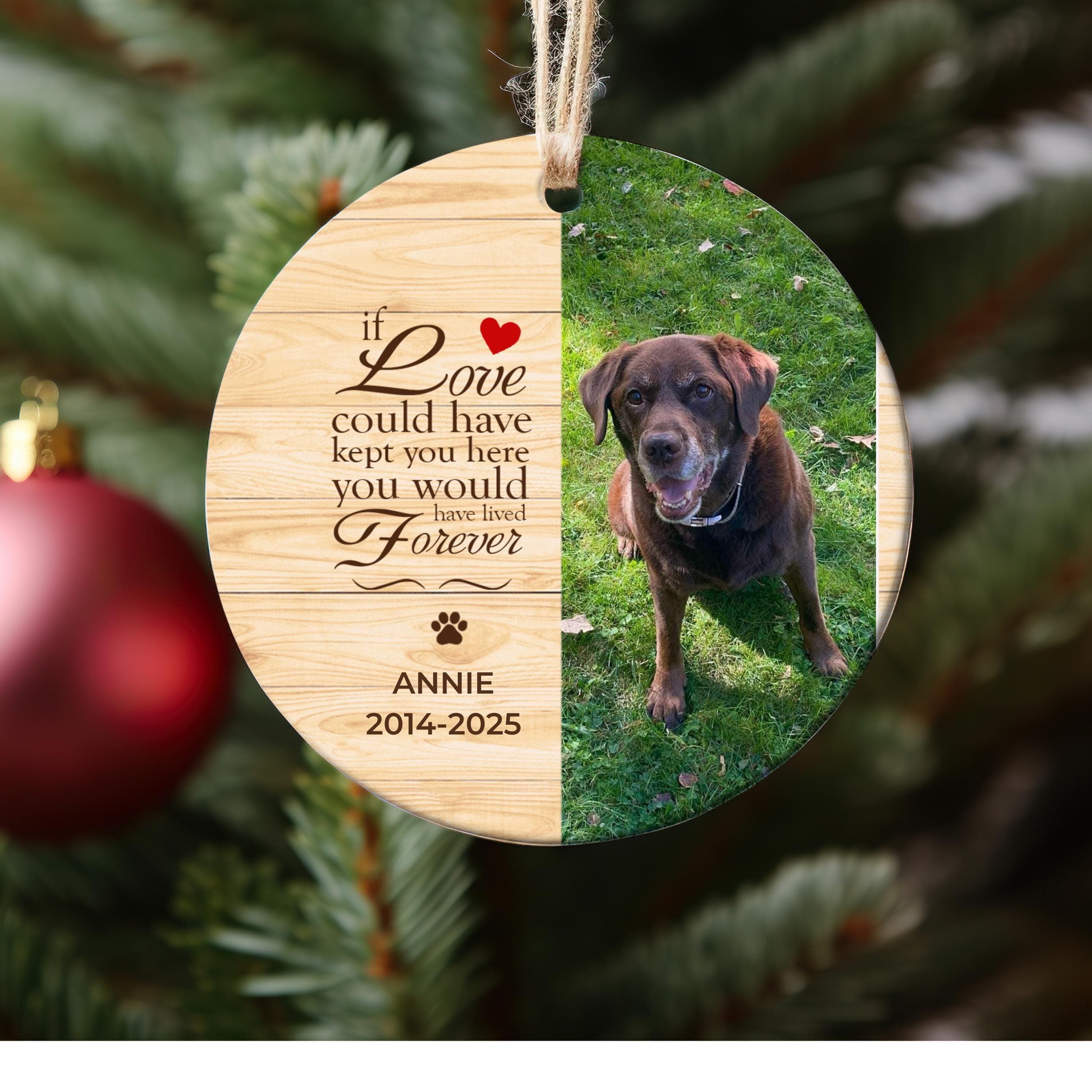 Personalized Pet Ornament, Custom Dog Christmas Ornament, Pet Ornament Using Photo, Cat Christmas Photo Ornament, Dog Remembrance Ornament