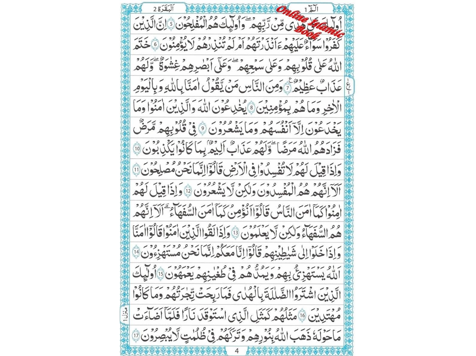 The Quran Arabic Only,16 Lines Pakistani / Indian/ Persian Script For Huffaz (Size 7.9 x 5.6 Inch) (Ref 7A) ,Medium Size - image 5