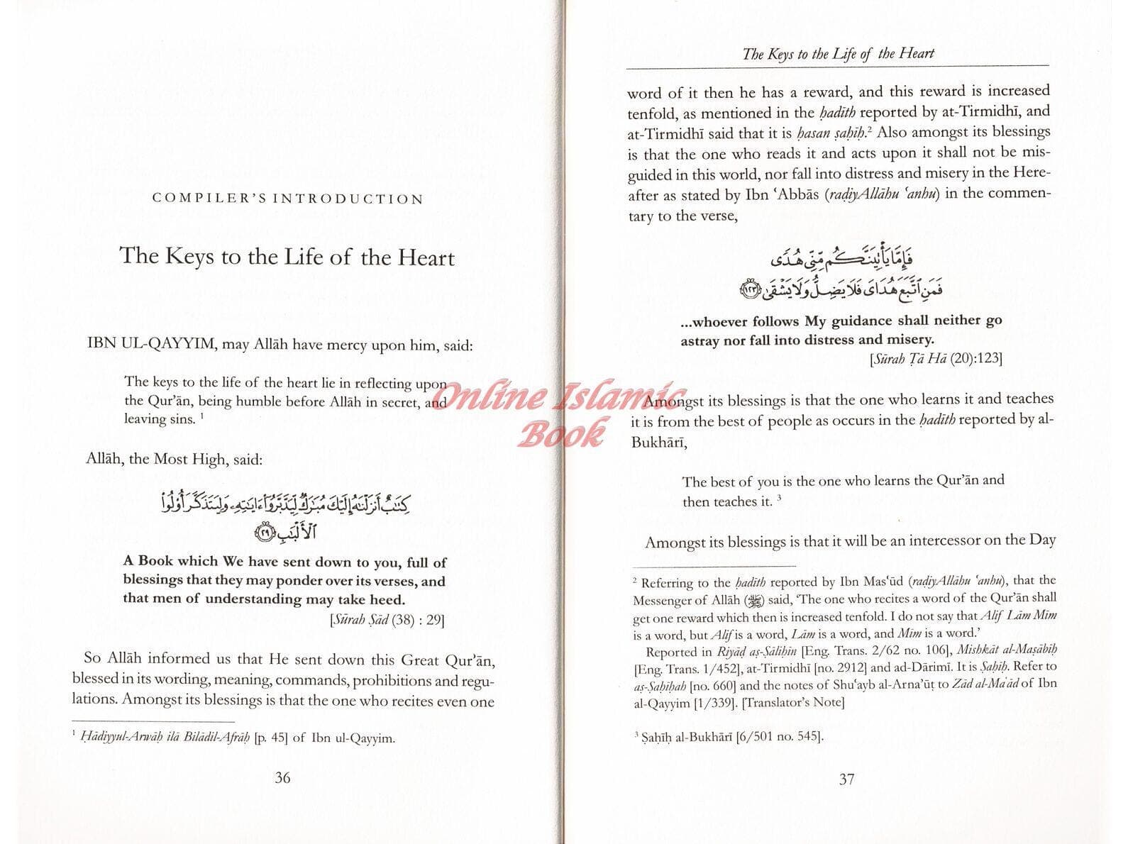 Diseases Of The Hearts & Their Cures - image 4