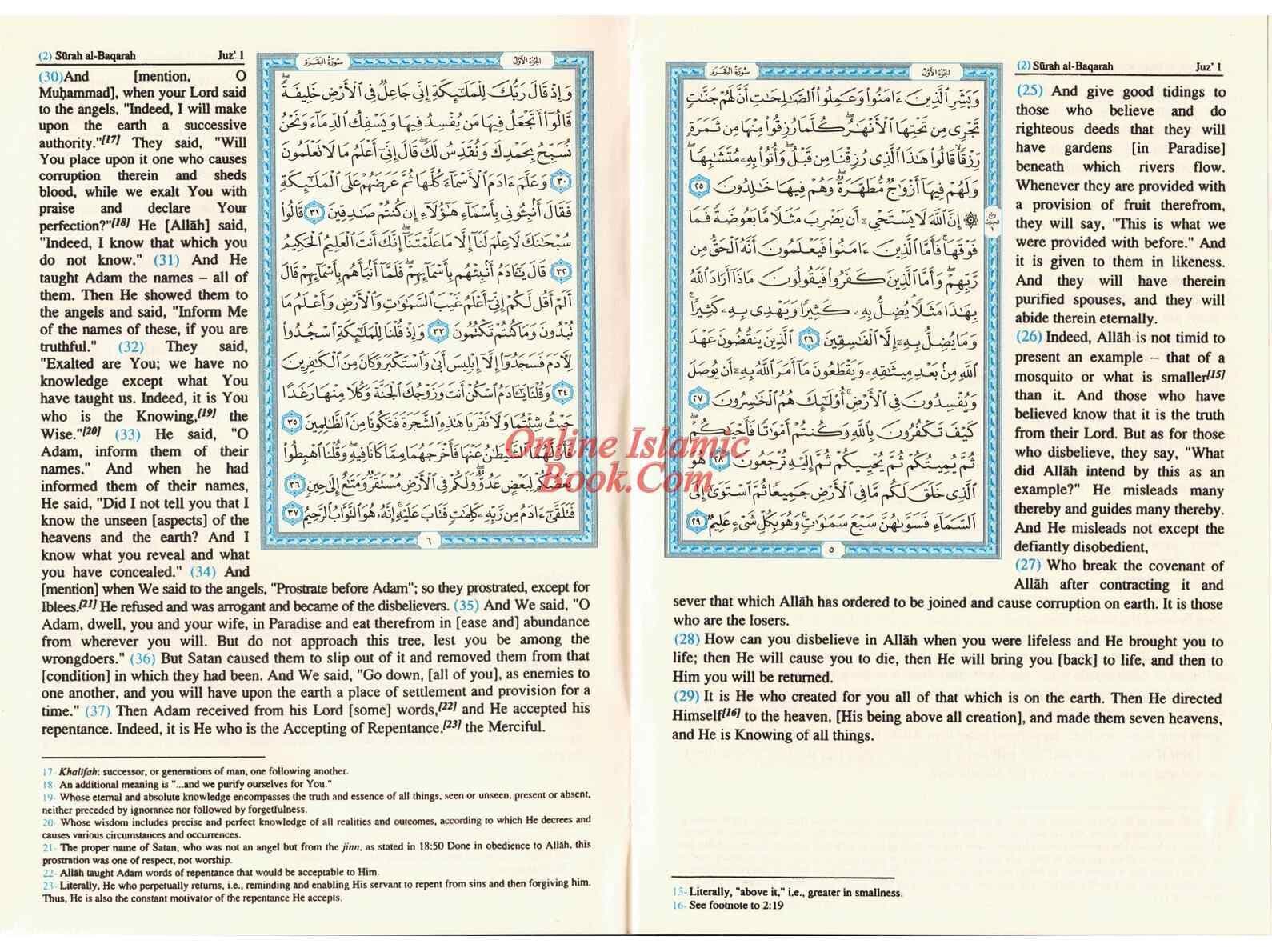 The Quran Arabic Text With English Meanings Medium Size - image 5