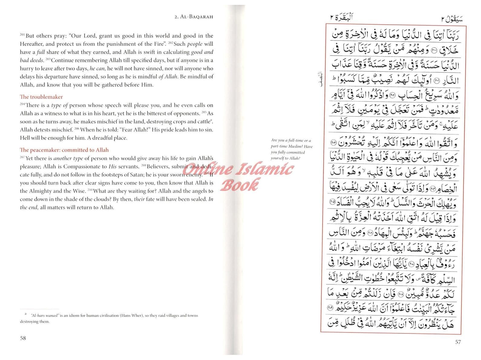 The Majestic Quran: A Plain English Translation - image 5