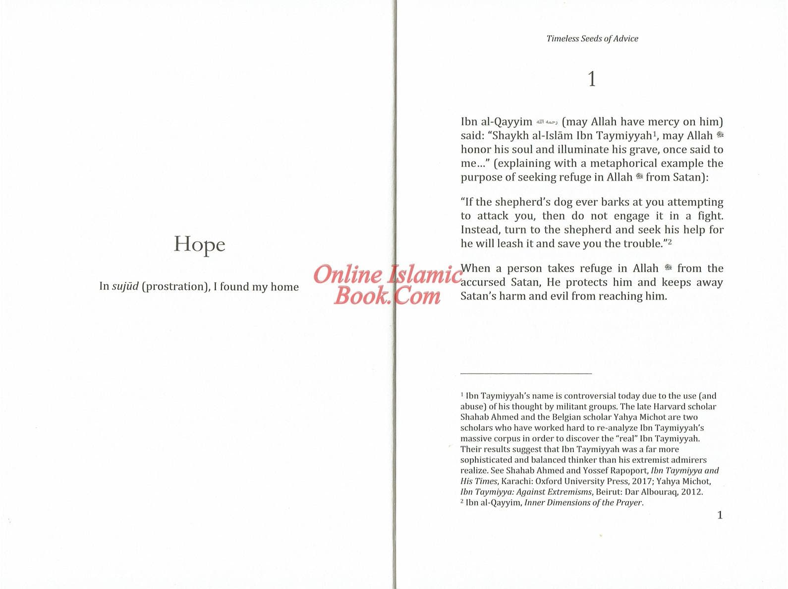 Timeless Seeds of Advice by B. B. Abdullah - image 4