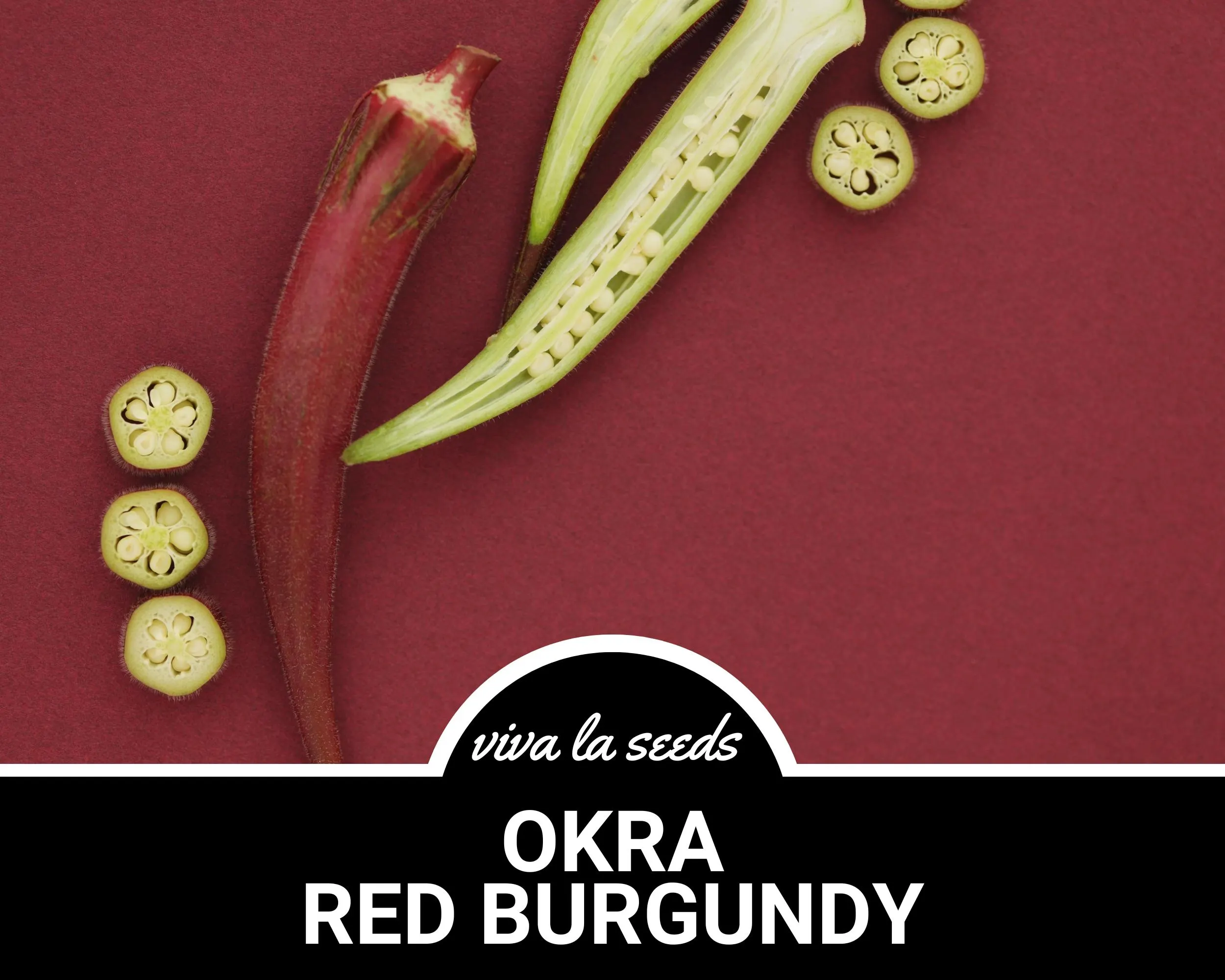 Okra, Red Burgundy | 50 Seeds | Heirloom Vegetable | Open Pollinated | Non-GMO | Abelmoschus esculentus - image 3