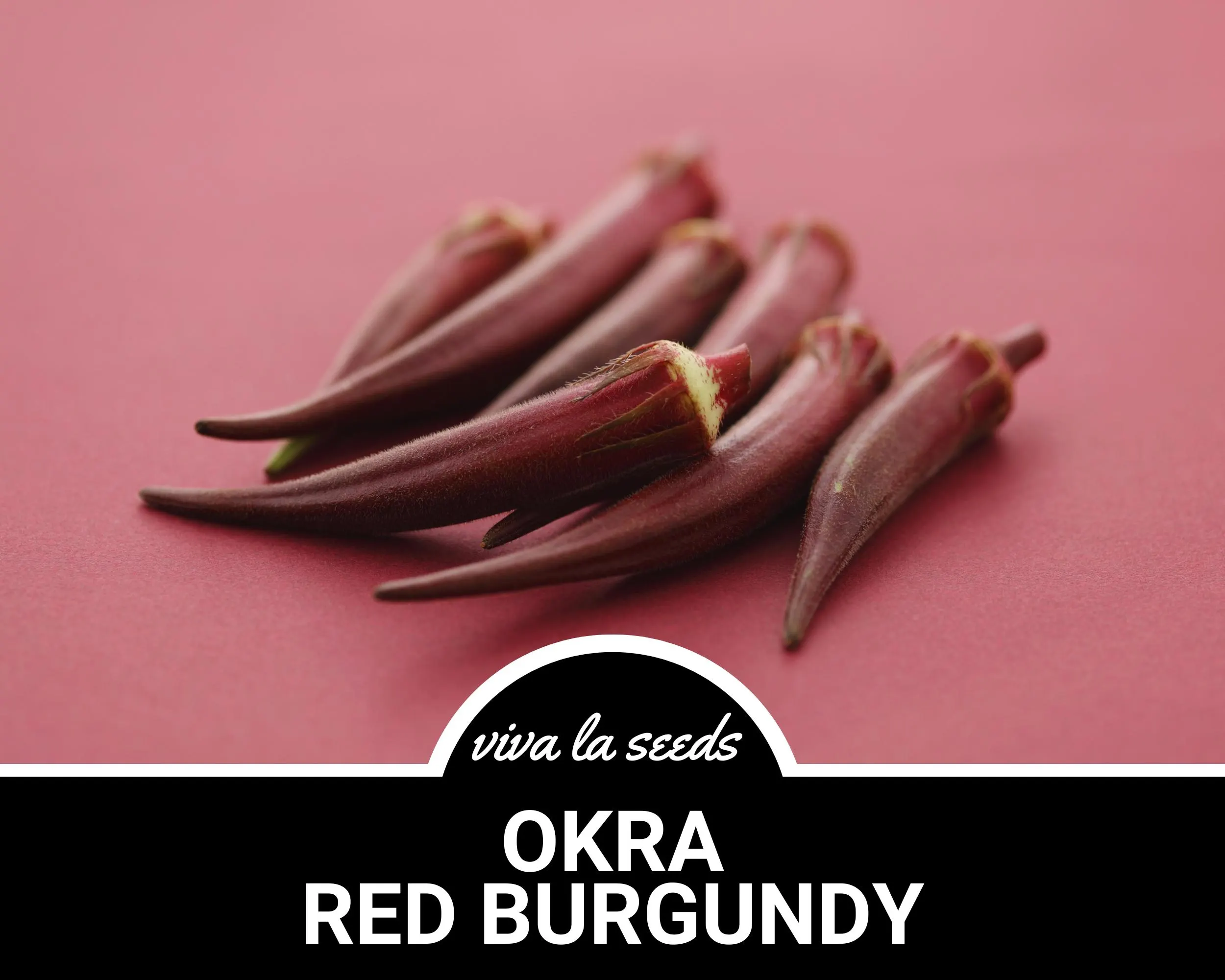 Okra, Red Burgundy | 50 Seeds | Heirloom Vegetable | Open Pollinated | Non-GMO | Abelmoschus esculentus - image 5