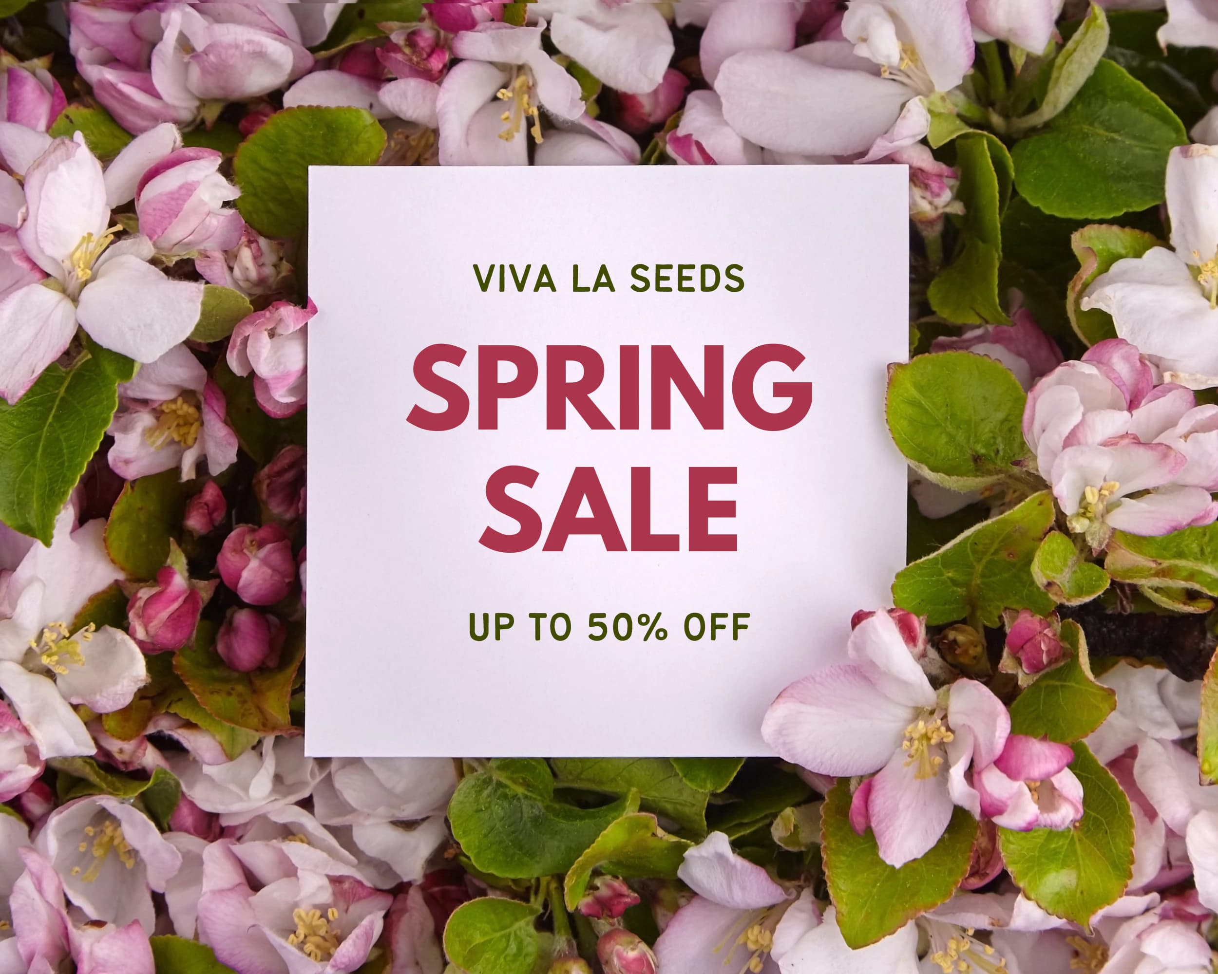 Spring 2024 Blowout Sale... 50% OFF STOREWIDE!!!