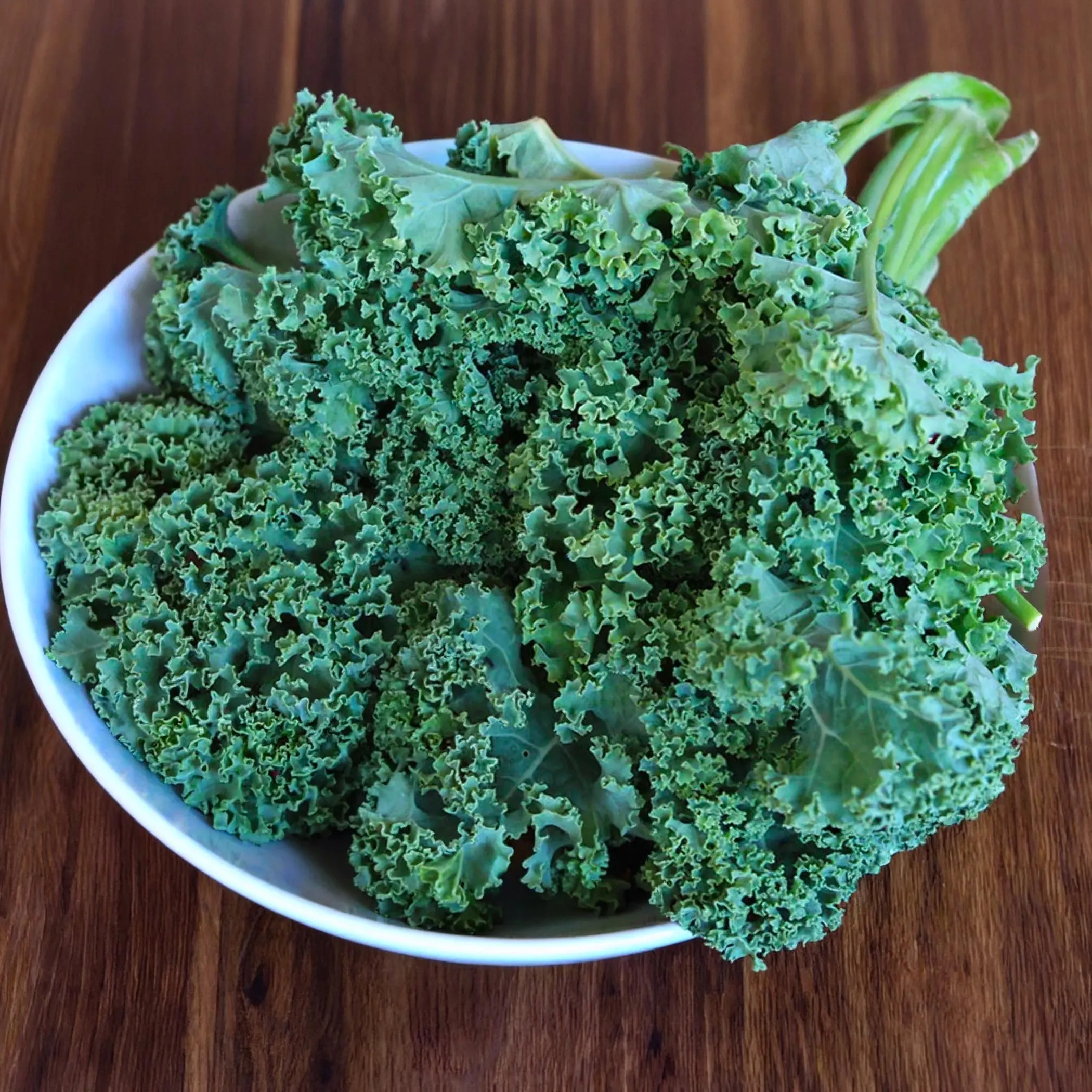 Vates Blue Scotch Curled Kale Seeds, Heirloom Non-GMO, Cold Hardy - image 5