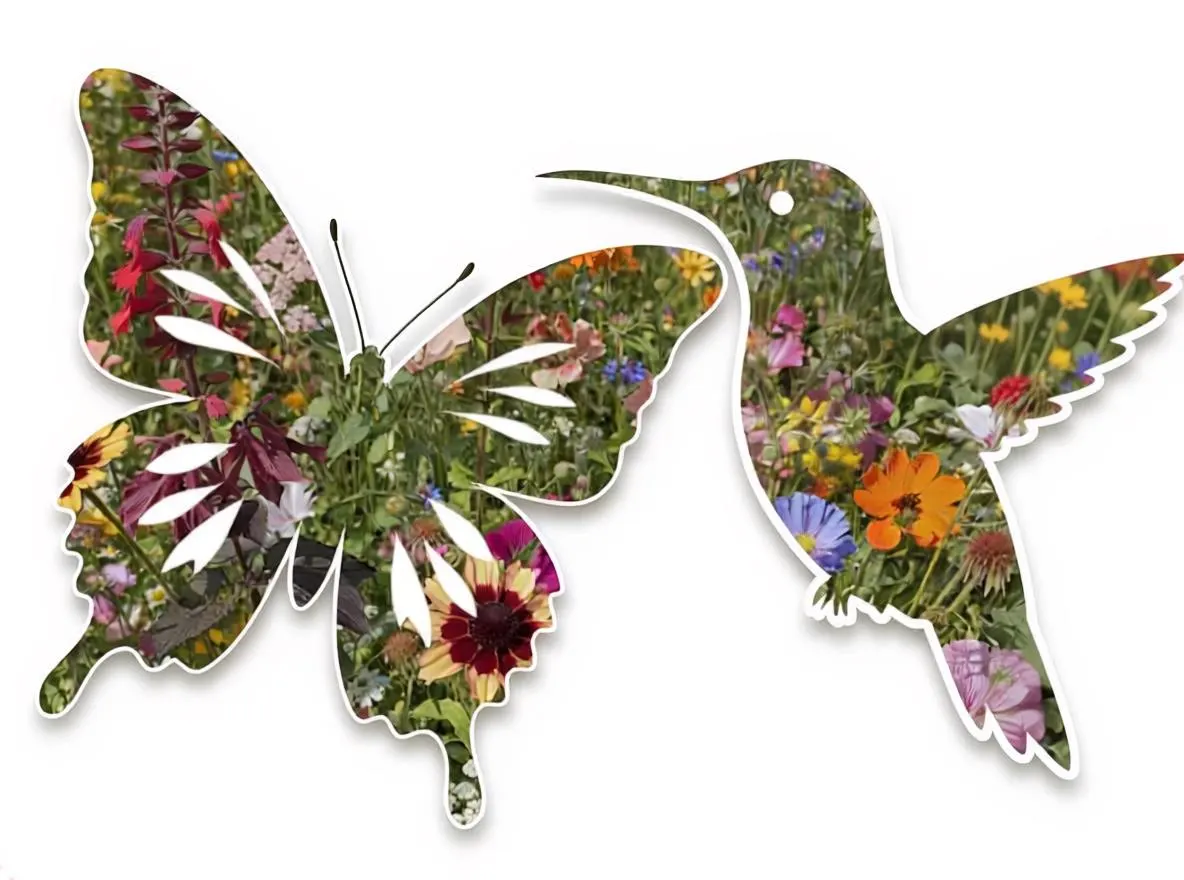 Butterfly and Hummingbird Wildflower Seed Mix | Heirloom Pollinator Garden Seeds | Wildflower Blend